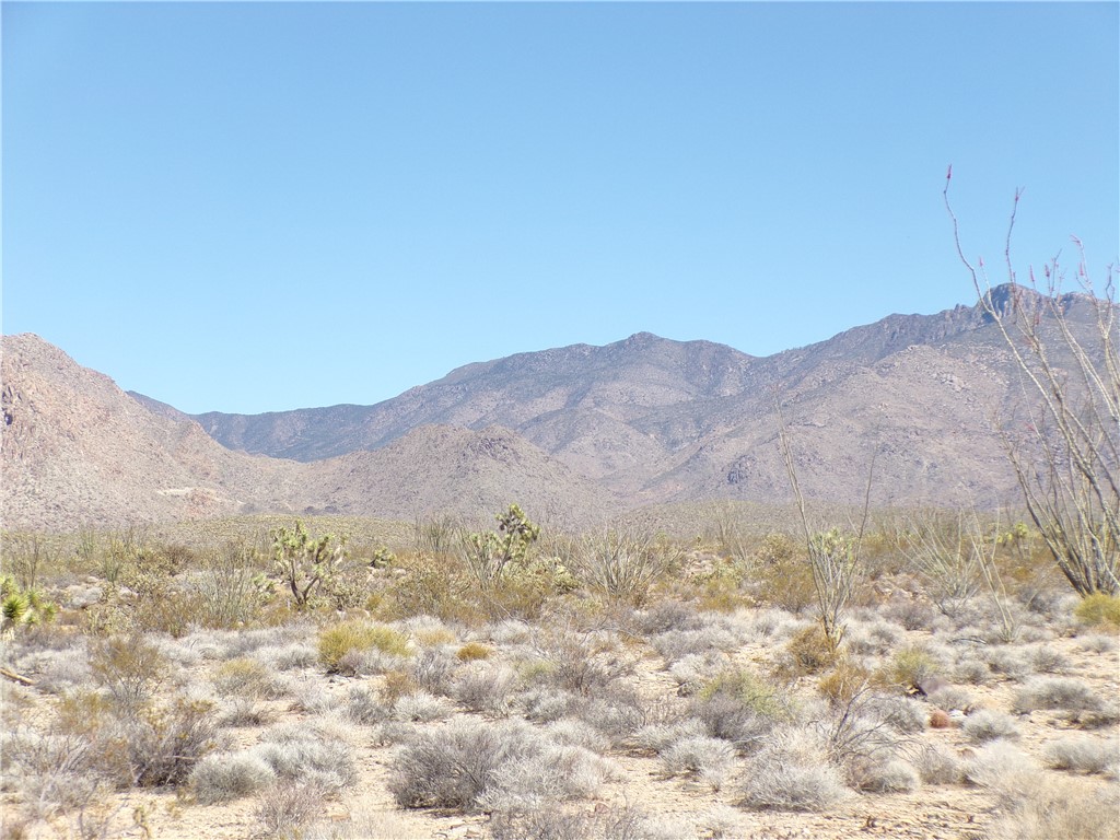 244-06-262 East Joshua Road Yucca, AZ 86438 - Photo 4 of 7 a view of a mountain range with trees in the background