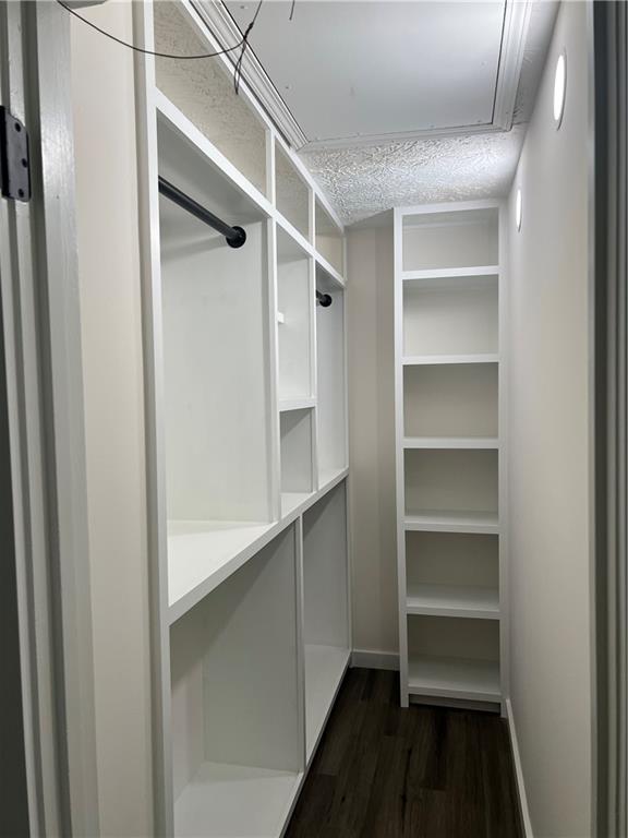 3715 Cress Way Drive Decatur, GA 30034 - Photo 19 of 37 a view of walk in closet with empty racks