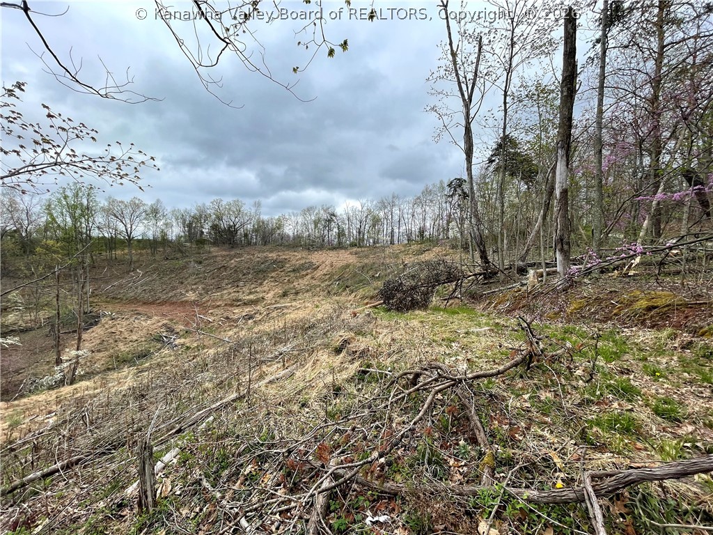 0 Cabin Rdg Road Leon, WV 25123 - Photo 2 of 13 View from the Cabin Ridge Road Frontage
