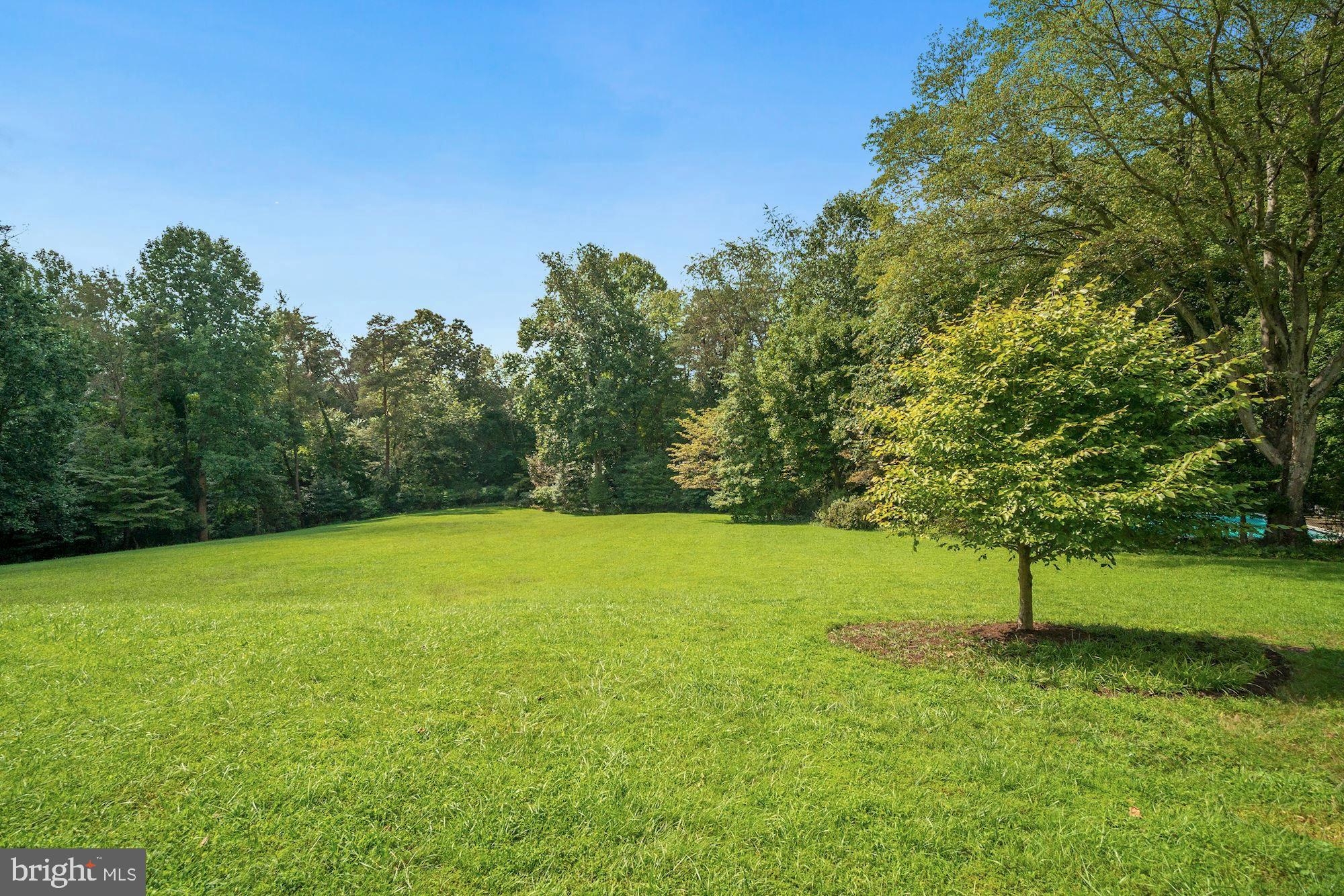 100 Warrenton Drive Silver Spring, MD 20904 - Photo 30 of 36 Extensive, lovely rear yard