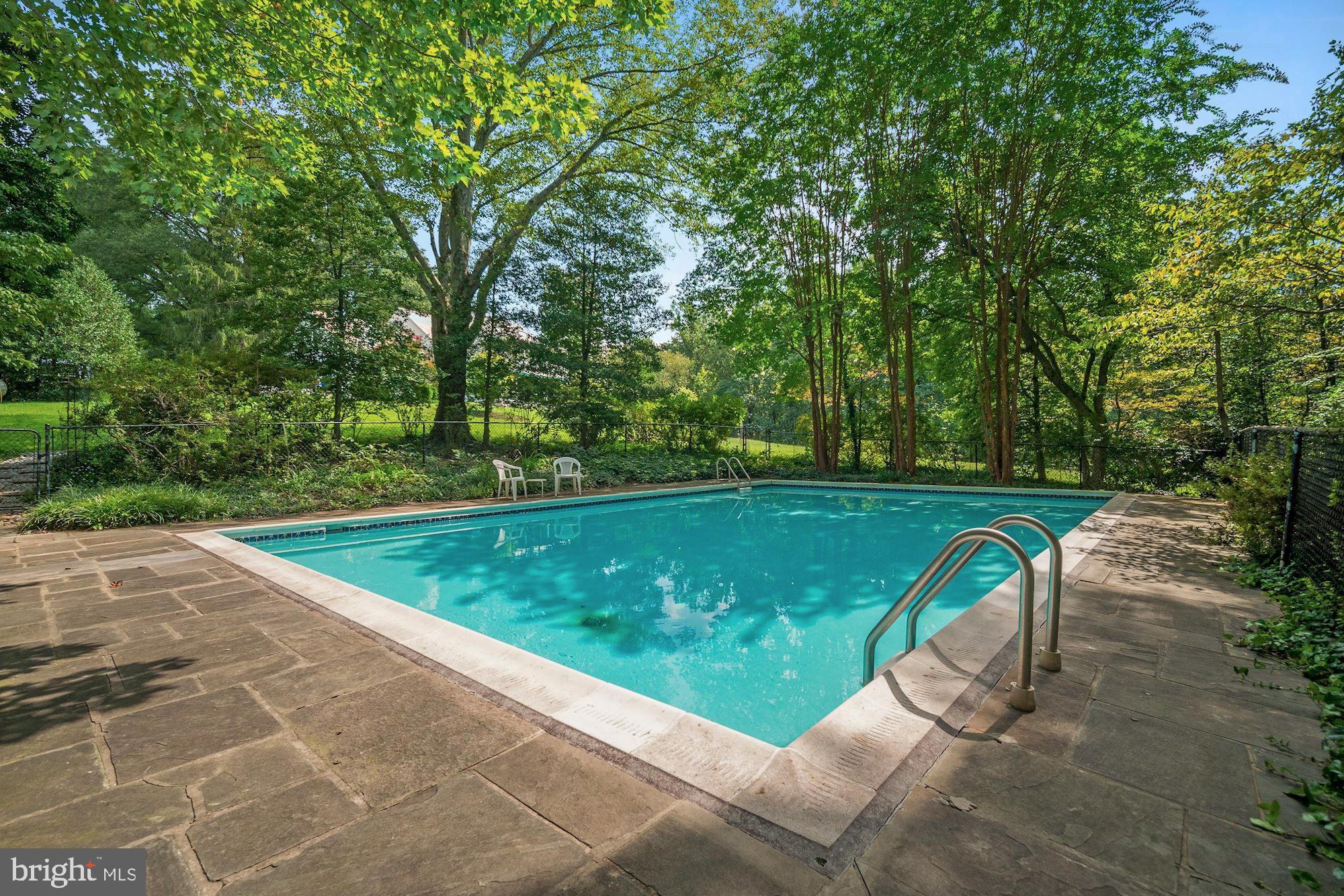 100 Warrenton Drive Silver Spring, MD 20904 - Photo 4 of 36 Wonderfully large pool