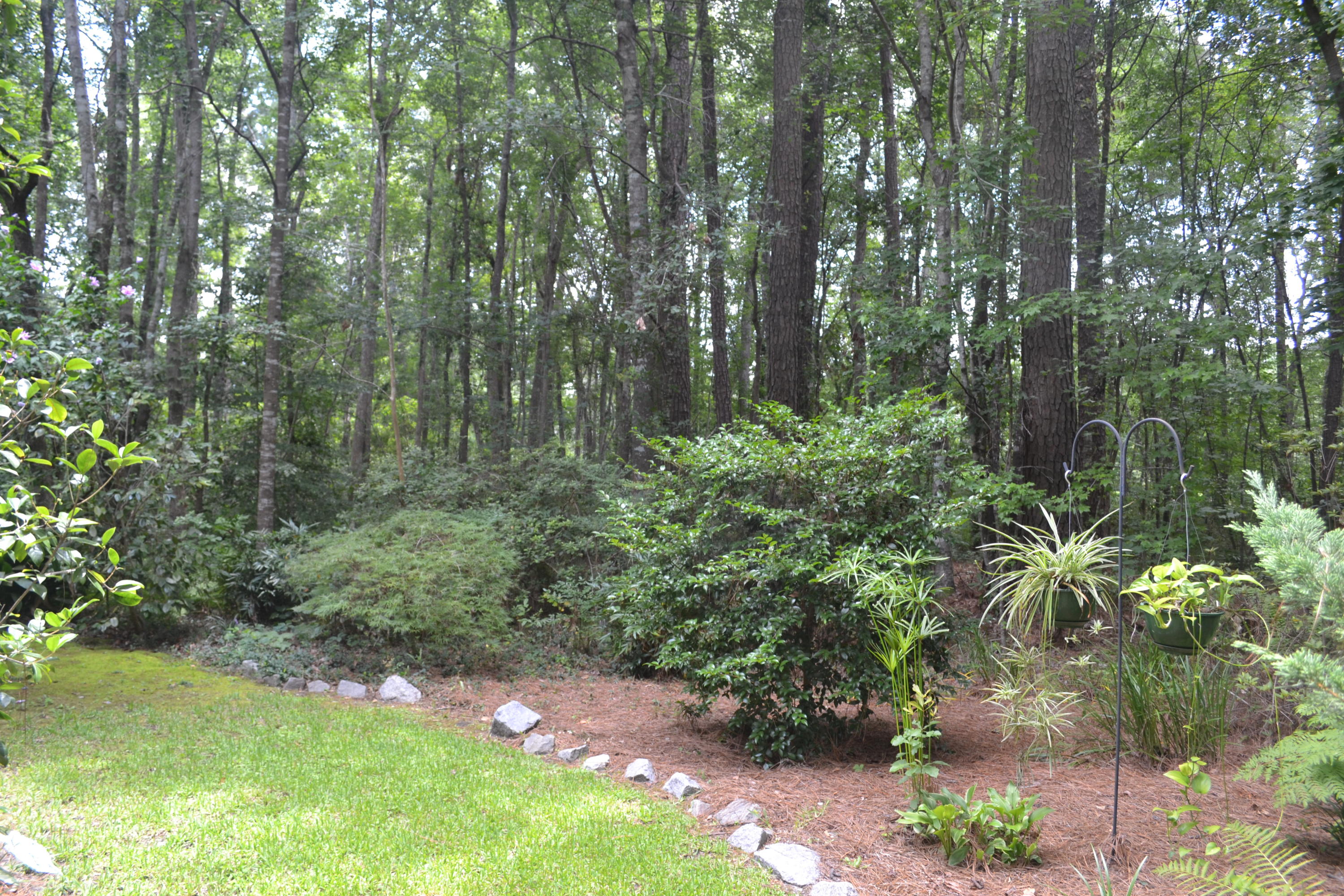 9654 State Rd S-10-2025 Ladson, SC 29456 - Photo 14 of 36 DSC_0381