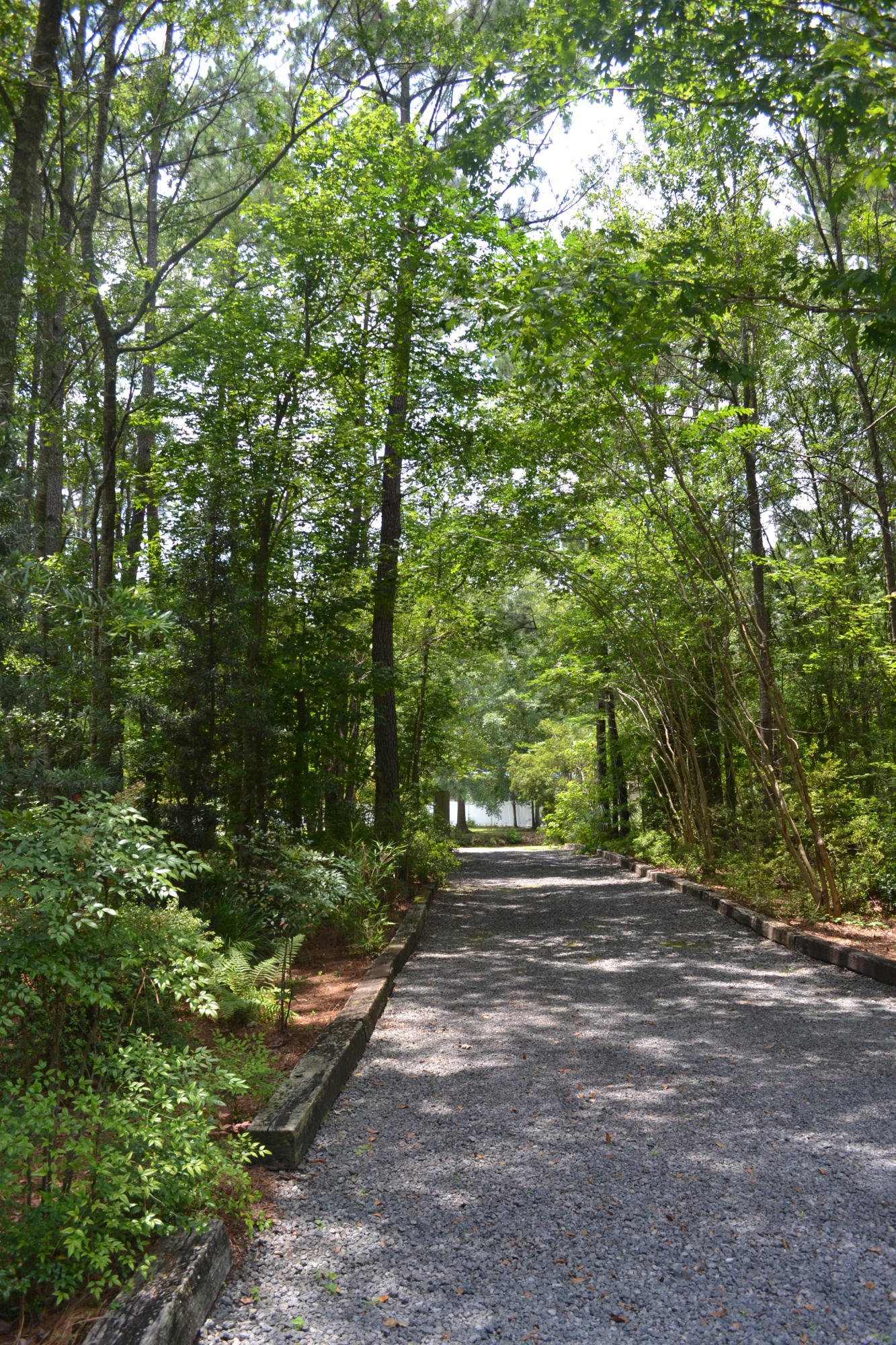 9654 State Rd S-10-2025 Ladson, SC 29456 - Photo 22 of 36 DSC_0414