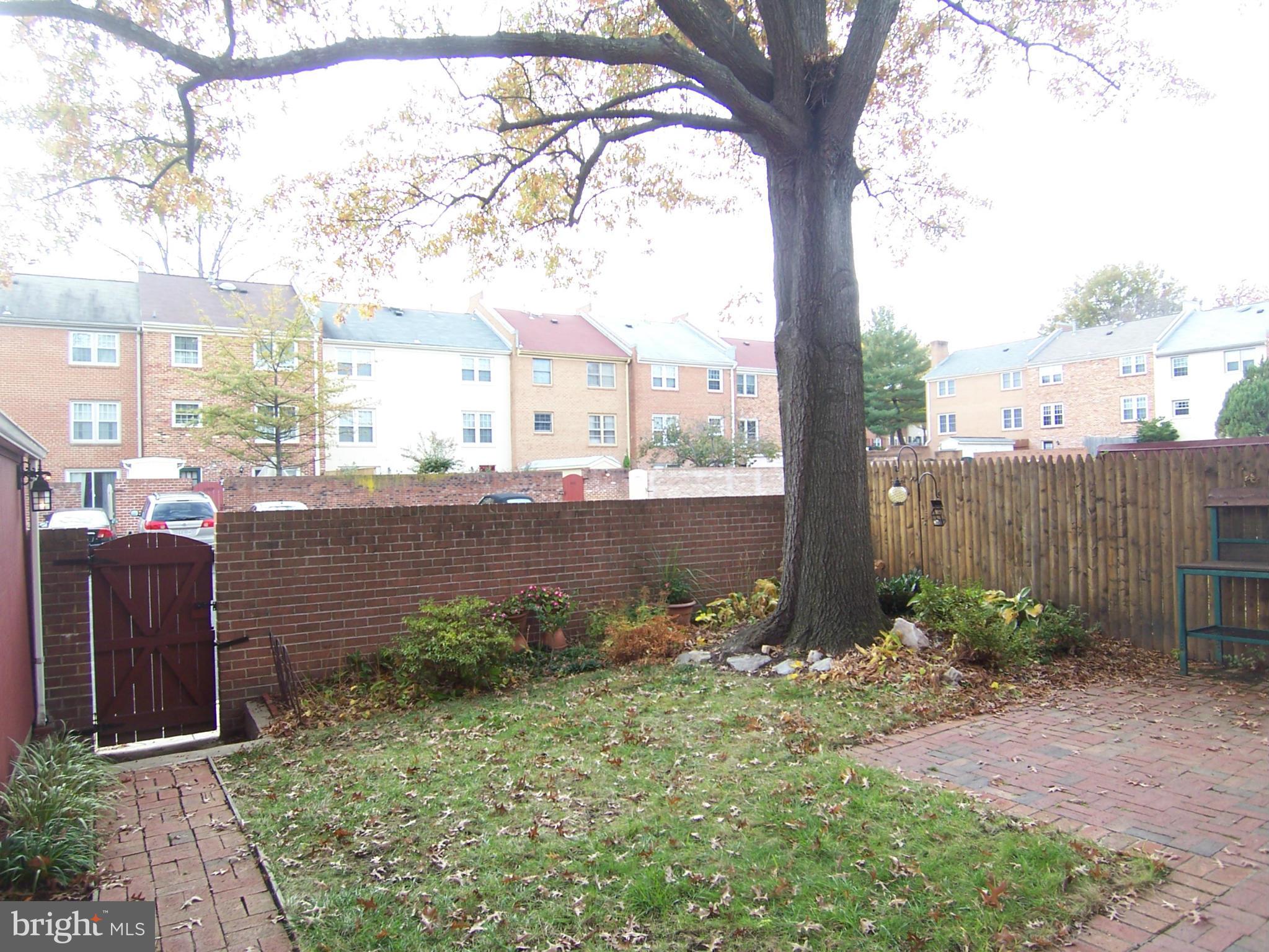 6003 Queenston Street Springfield, VA 22152 - Photo 28 of 29 Back yard