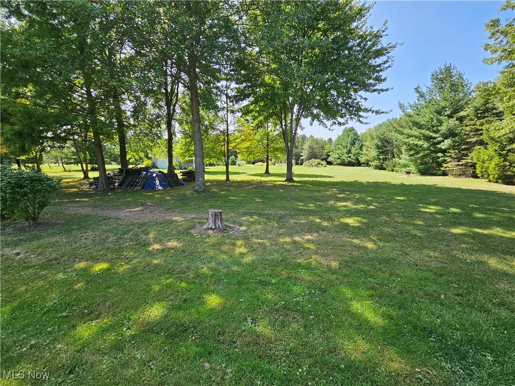 24192 Quarry Road Wellington, OH 44090 - Photo 28 of 28 View of yard