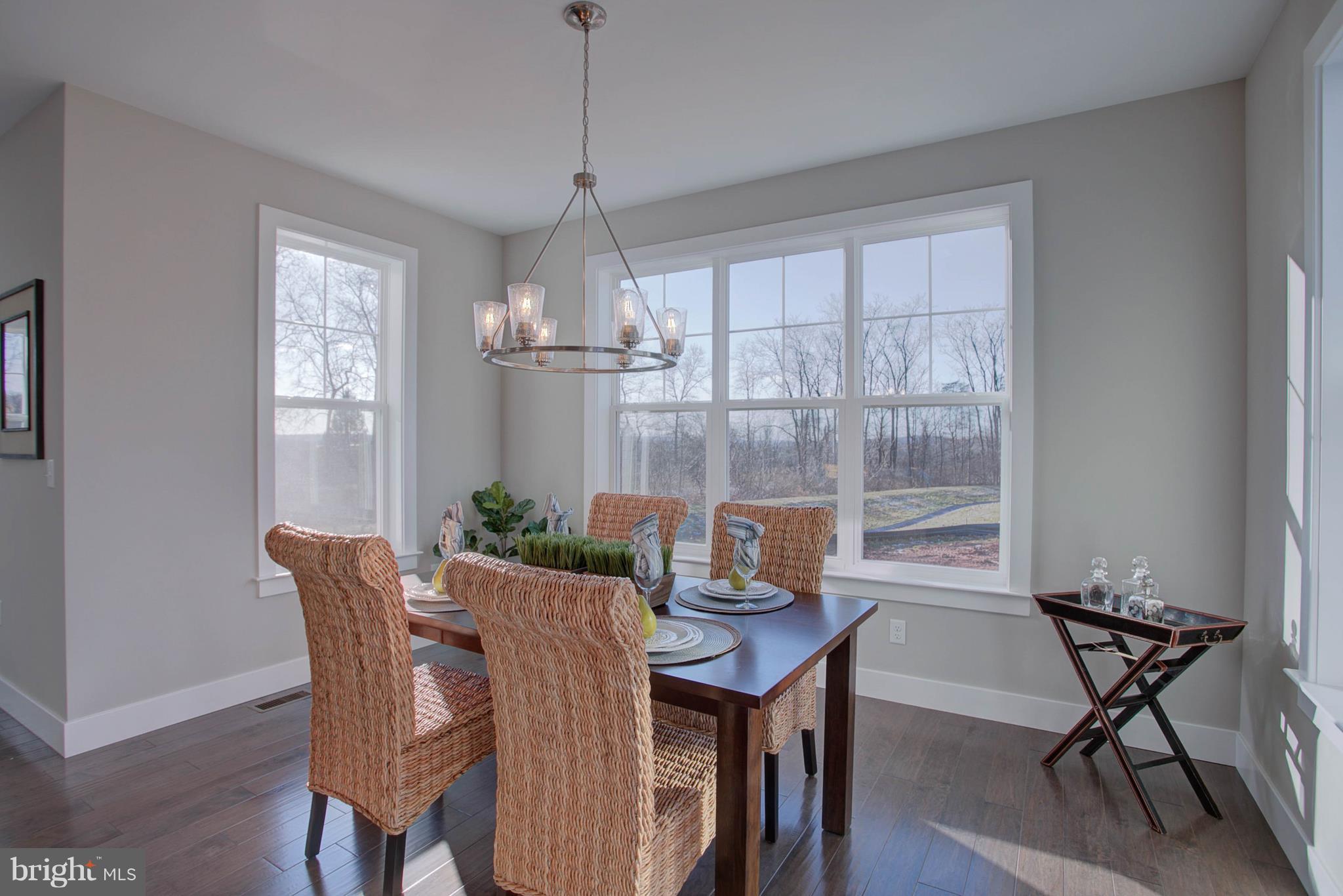 240 Smokestown Road Denver, PA 17517 - Photo 2 of 26