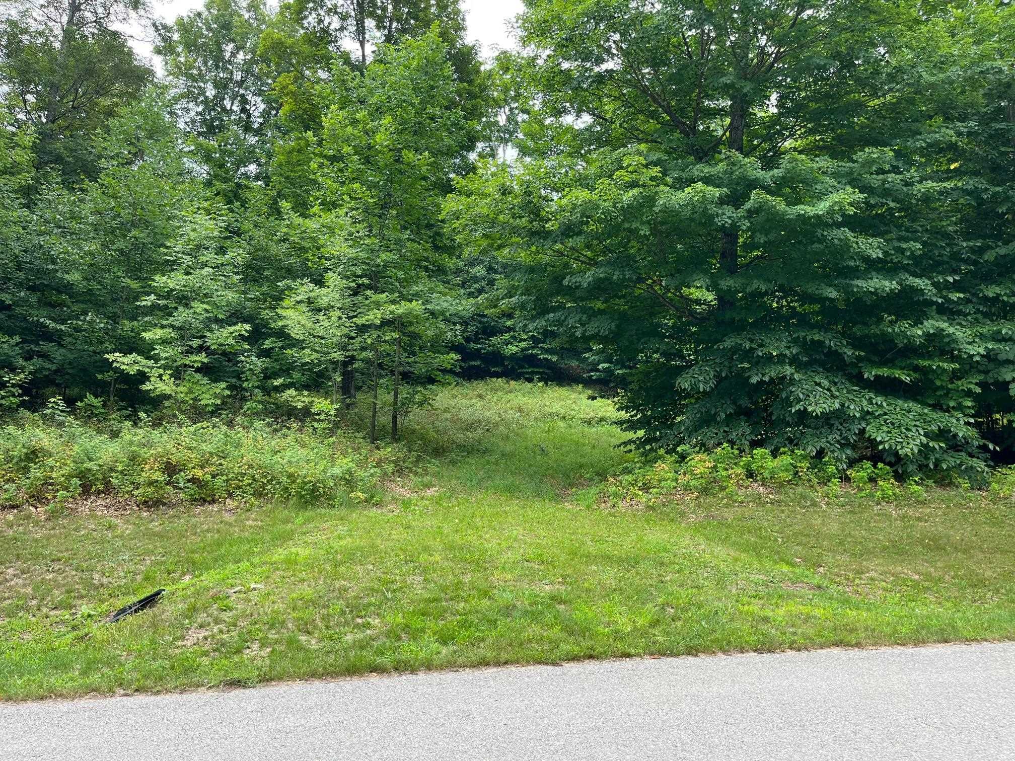 Lot 1 West Timberview Trail, Unit LOT: 1 Empire, MI 49630 - Photo 5 of 5