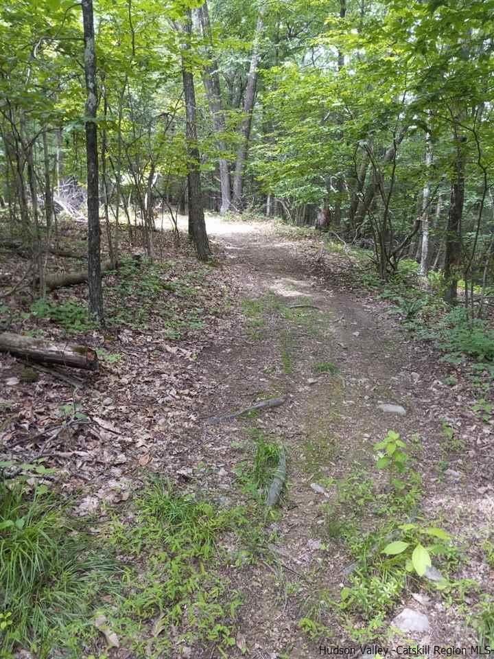 644 Main Street Ulster Park, NY 12487 - Photo 1 of 7 a view of a forest with trees