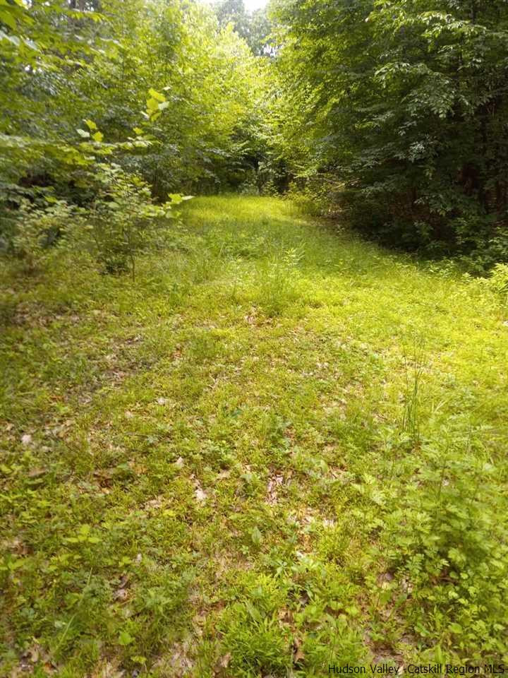 644 Main Street Ulster Park, NY 12487 - Photo 2 of 7 a view of lake view