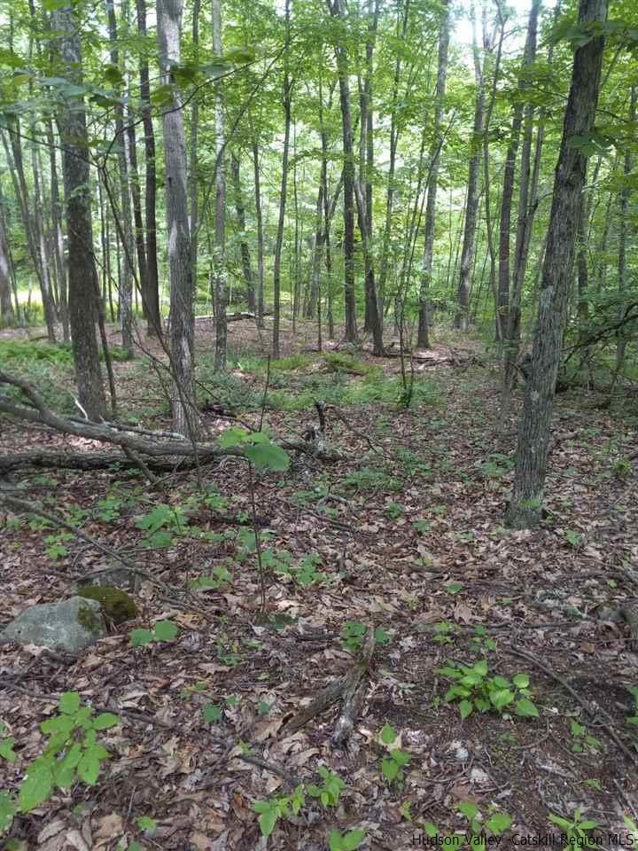 644 Main Street Ulster Park, NY 12487 - Photo 3 of 7 a view of outdoor space with green space