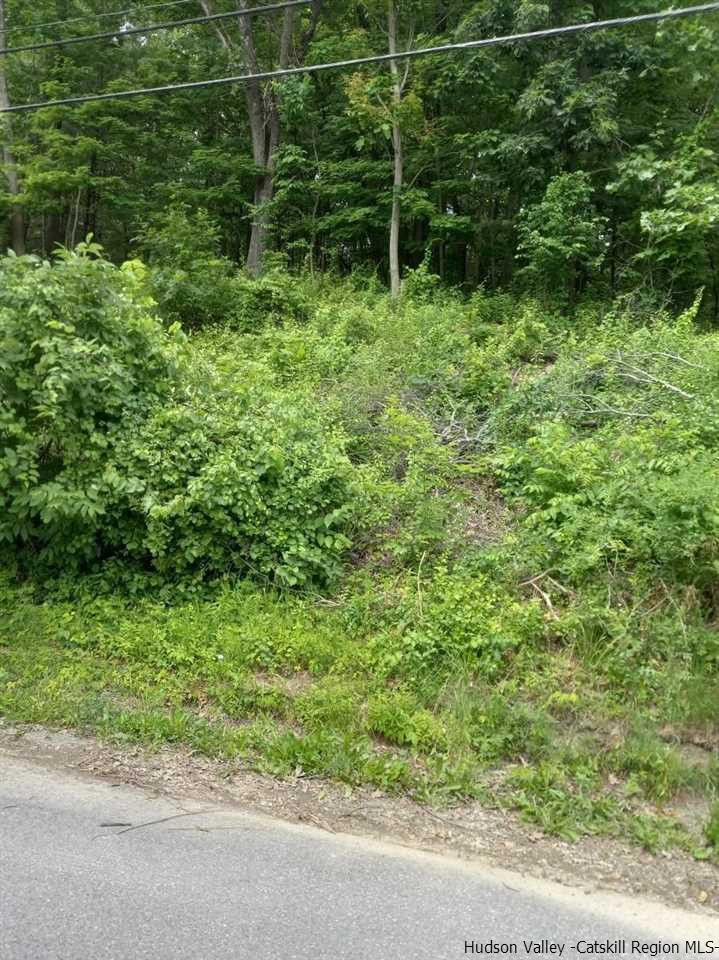 644 Main Street Ulster Park, NY 12487 - Photo 4 of 7 a view of a backyard