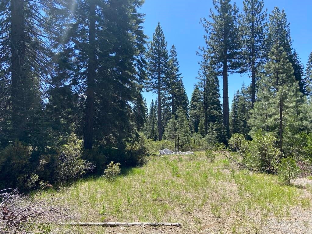 3-e-42 Red Fir Road McCloud, CA 96057 - Photo 9 of 20 Gallery Image 9