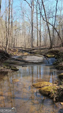 $250,000 | 0 Old Zebulon Road, Zebulon, GA 30295