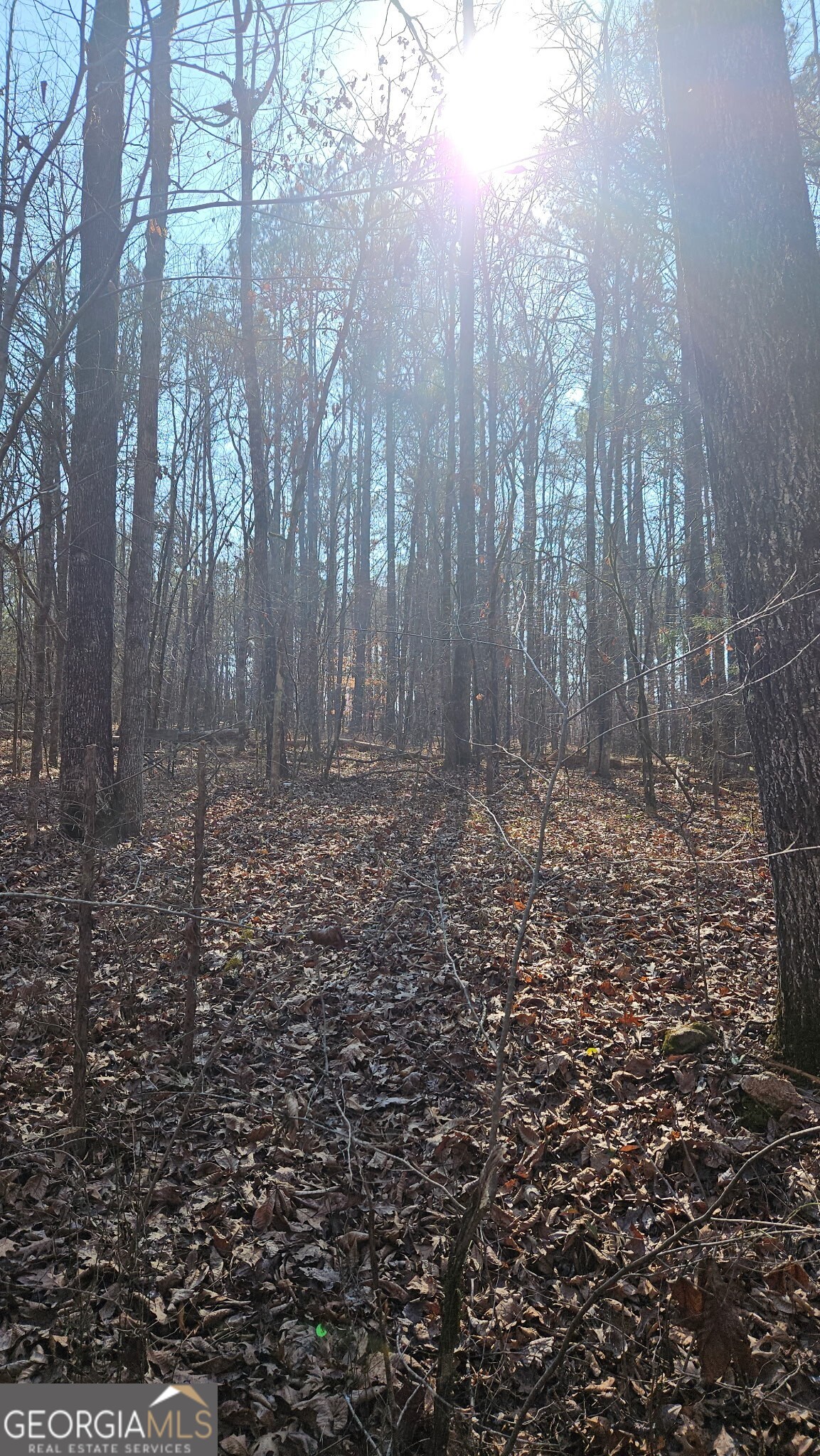 0 Old Zebulon Road Zebulon, GA 30295 - Photo 12 of 15