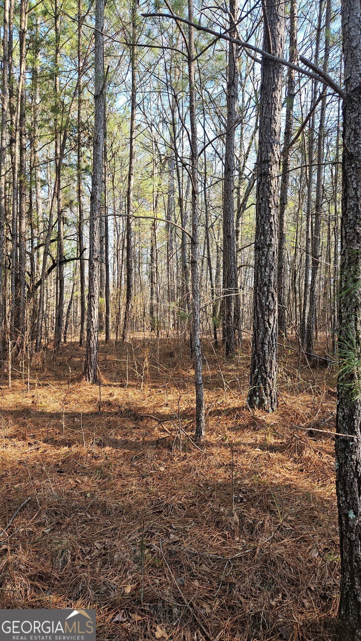 0 Old Zebulon Road Zebulon, GA 30295 - Photo 13 of 15