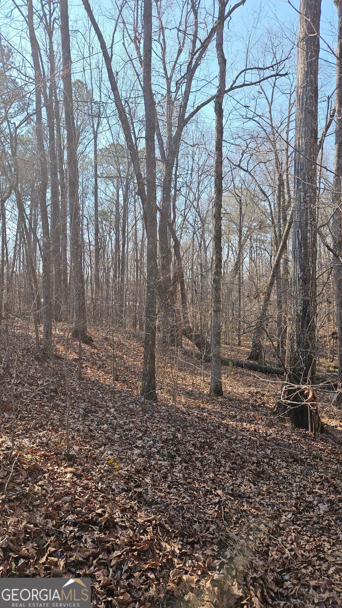 0 Old Zebulon Road Zebulon, GA 30295 - Photo 14 of 15