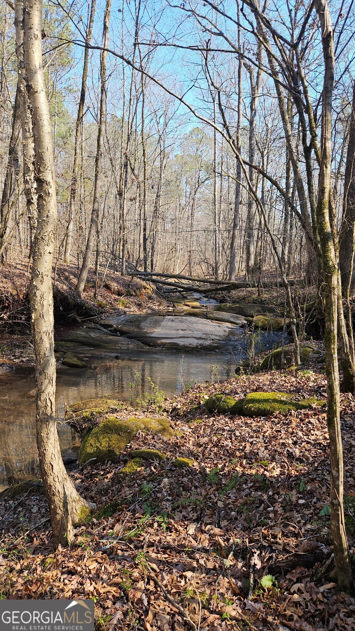 0 Old Zebulon Road Zebulon, GA 30295 - Photo 15 of 15