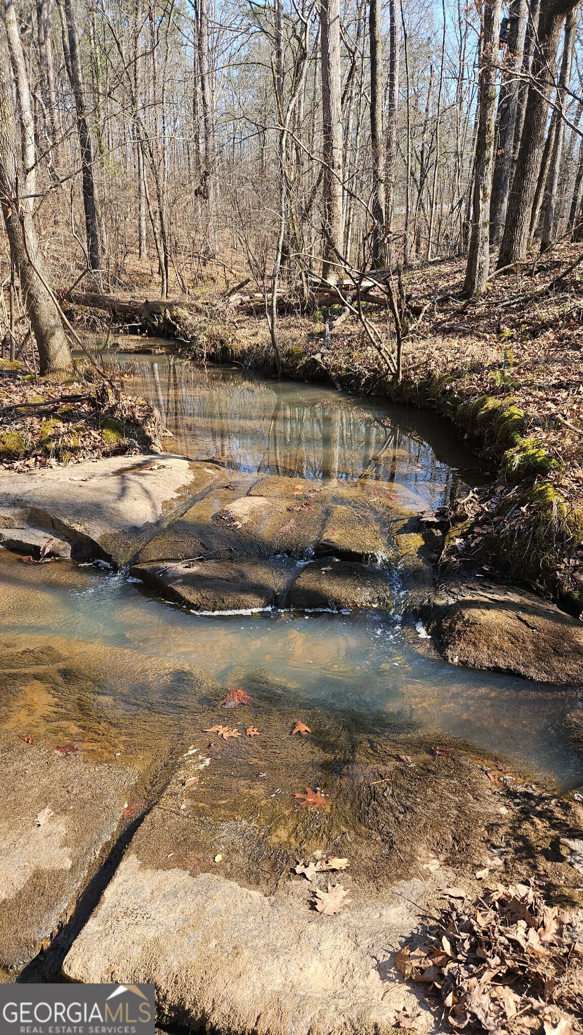 0 Old Zebulon Road Zebulon, GA 30295 - Photo 2 of 15