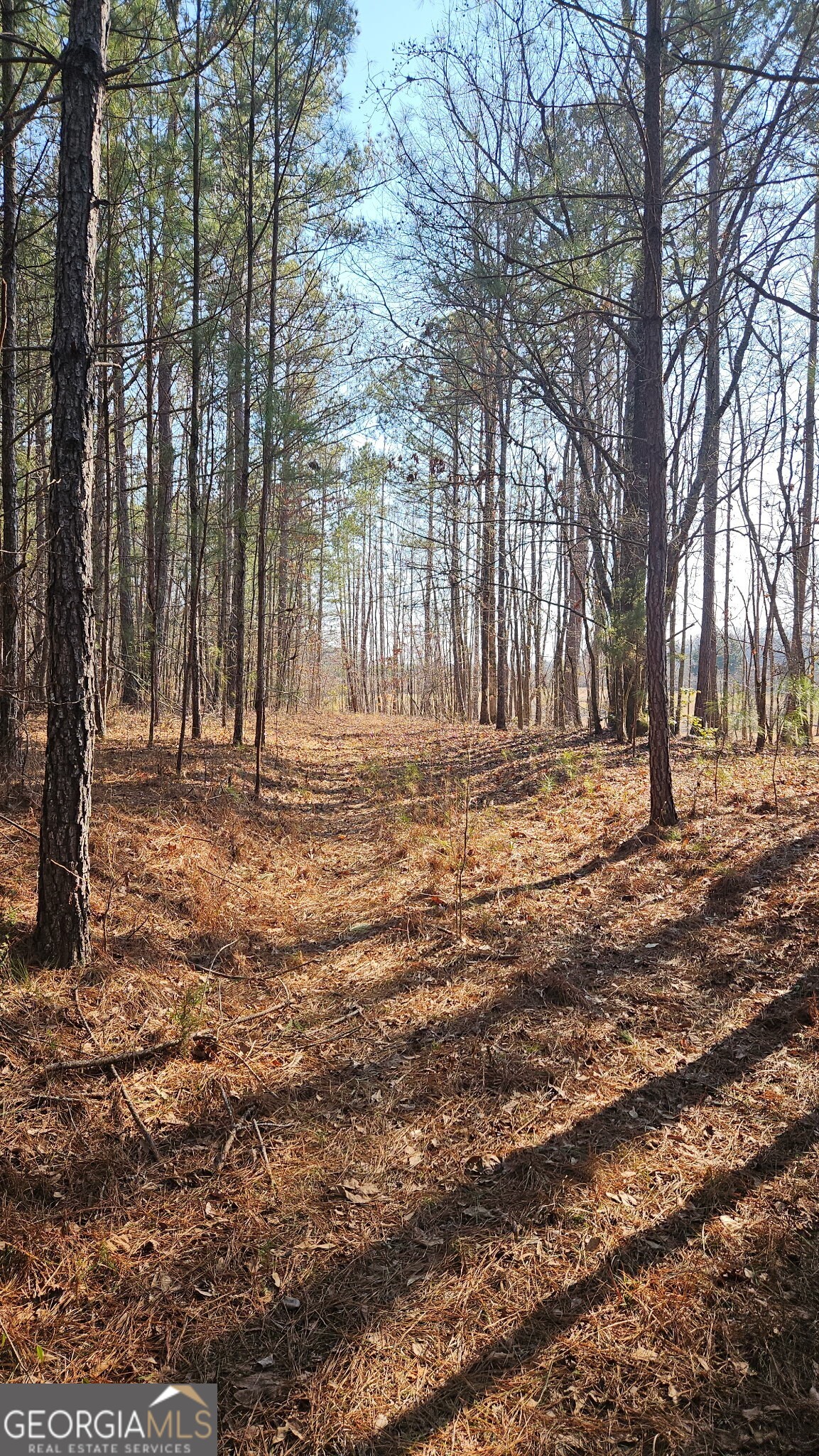 0 Old Zebulon Road Zebulon, GA 30295 - Photo 3 of 15