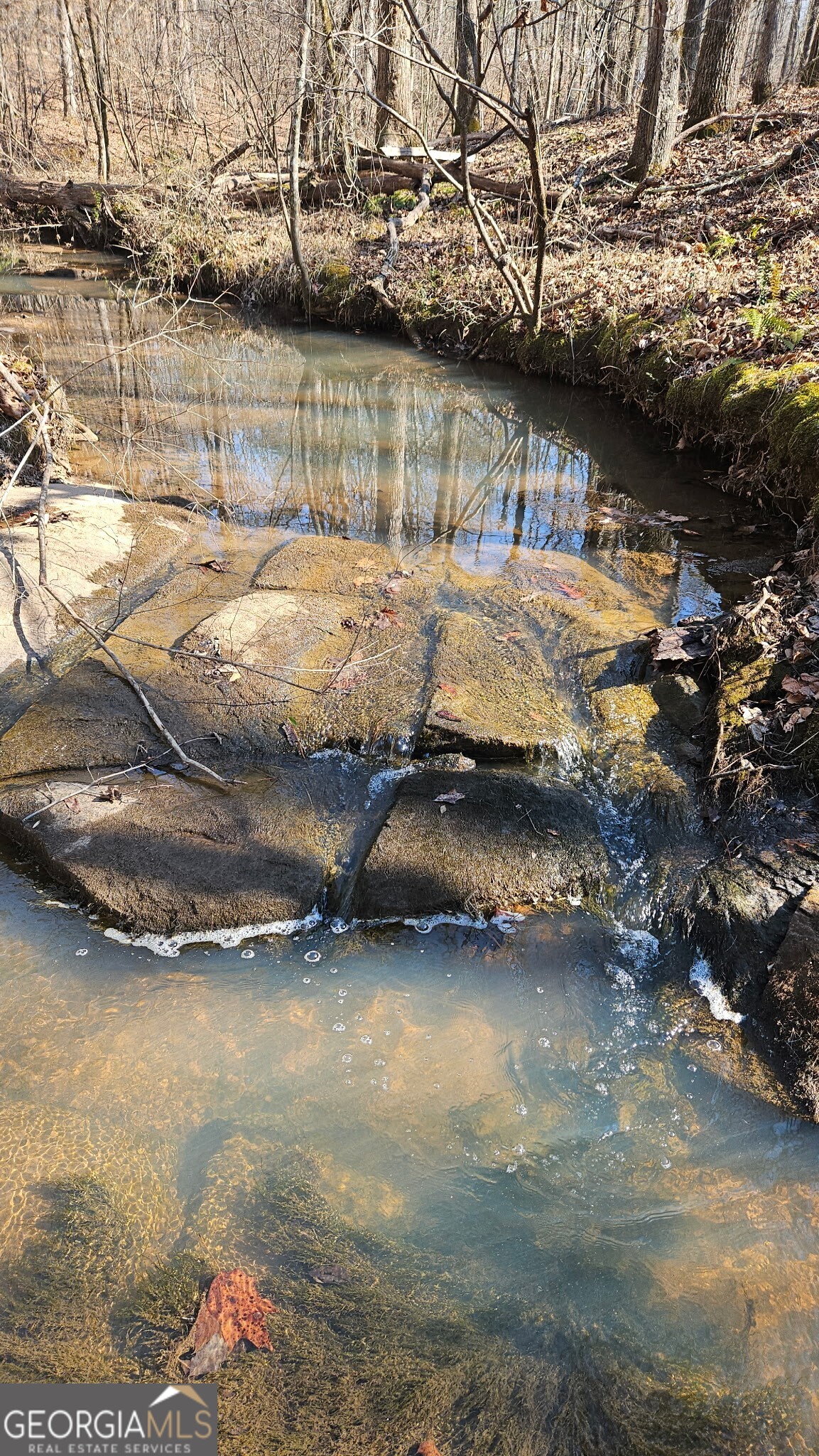 0 Old Zebulon Road Zebulon, GA 30295 - Photo 4 of 15