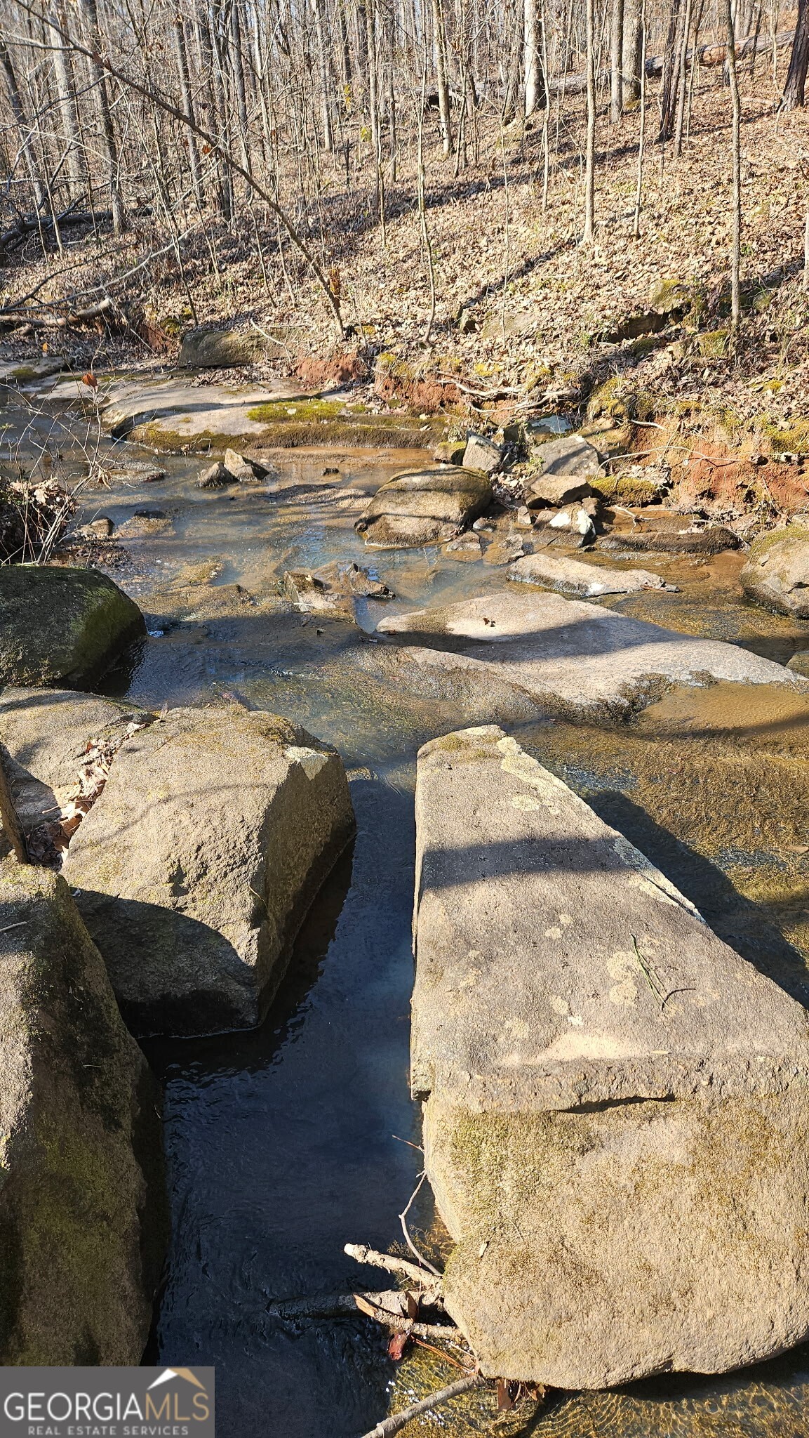 0 Old Zebulon Road Zebulon, GA 30295 - Photo 5 of 15