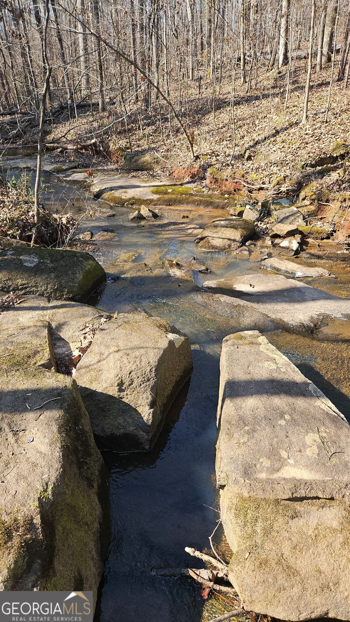 0 Old Zebulon Road Zebulon, GA 30295 - Photo 6 of 15