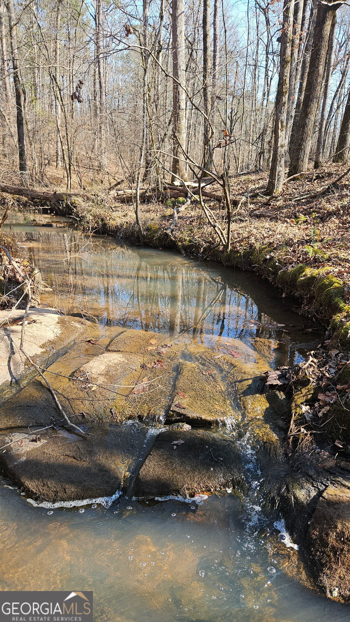 0 Old Zebulon Road Zebulon, GA 30295 - Photo 7 of 15