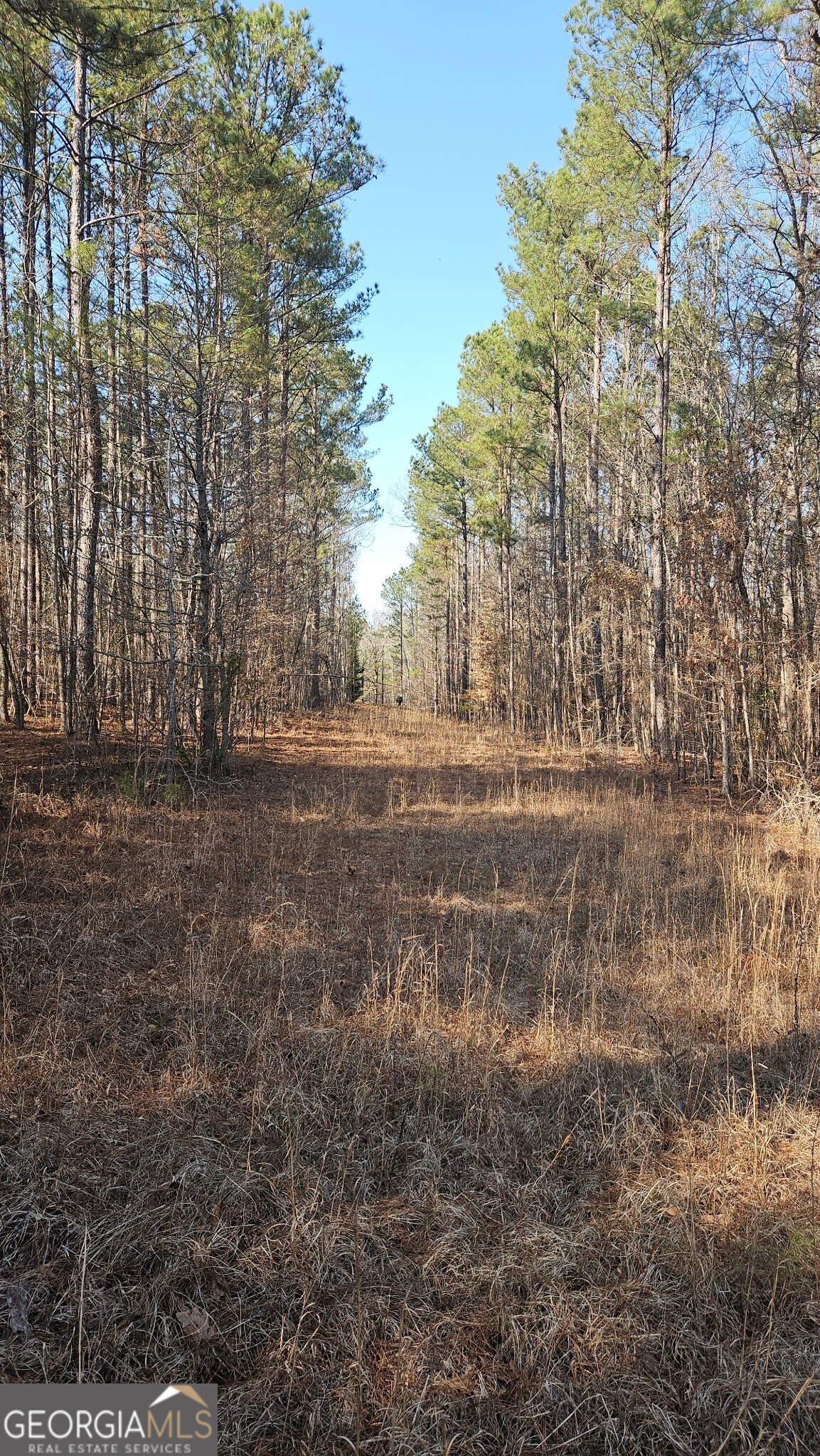 0 Old Zebulon Road Zebulon, GA 30295 - Photo 9 of 15