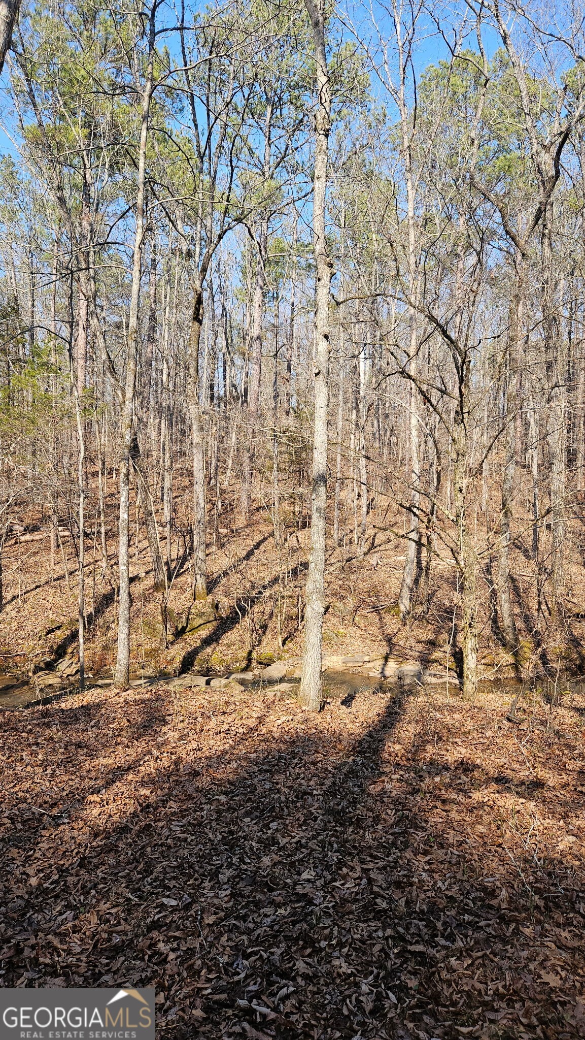 0 Old Zebulon Road Zebulon, GA 30295 - Photo 10 of 15