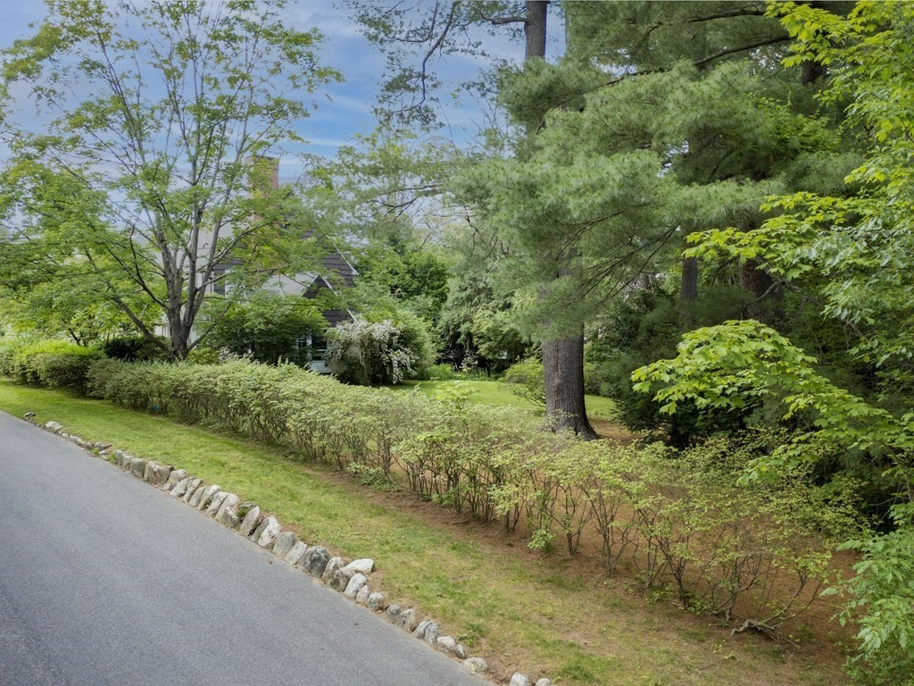 14 Birch Road Wellesley, MA 02482 - Photo 16 of 18 a view of a street with a tree