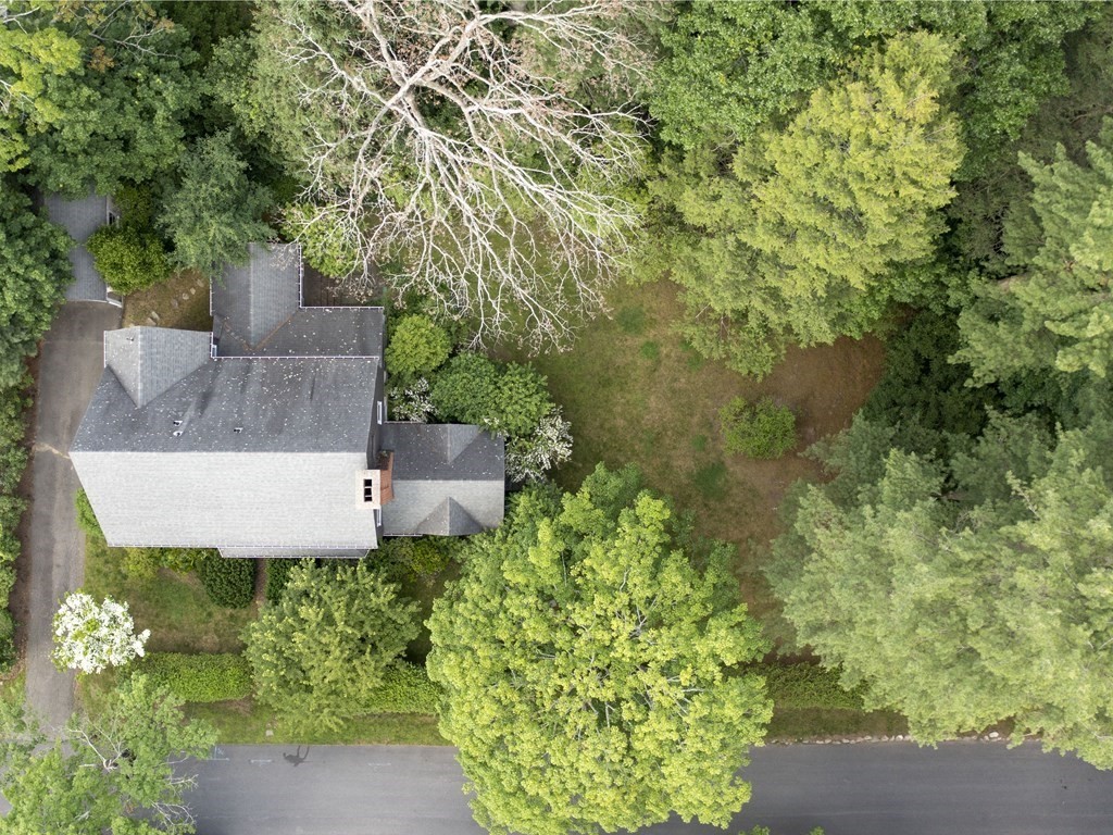 14 Birch Road Wellesley, MA 02482 - Photo 17 of 18 an aerial view of a house with a yard and large trees
