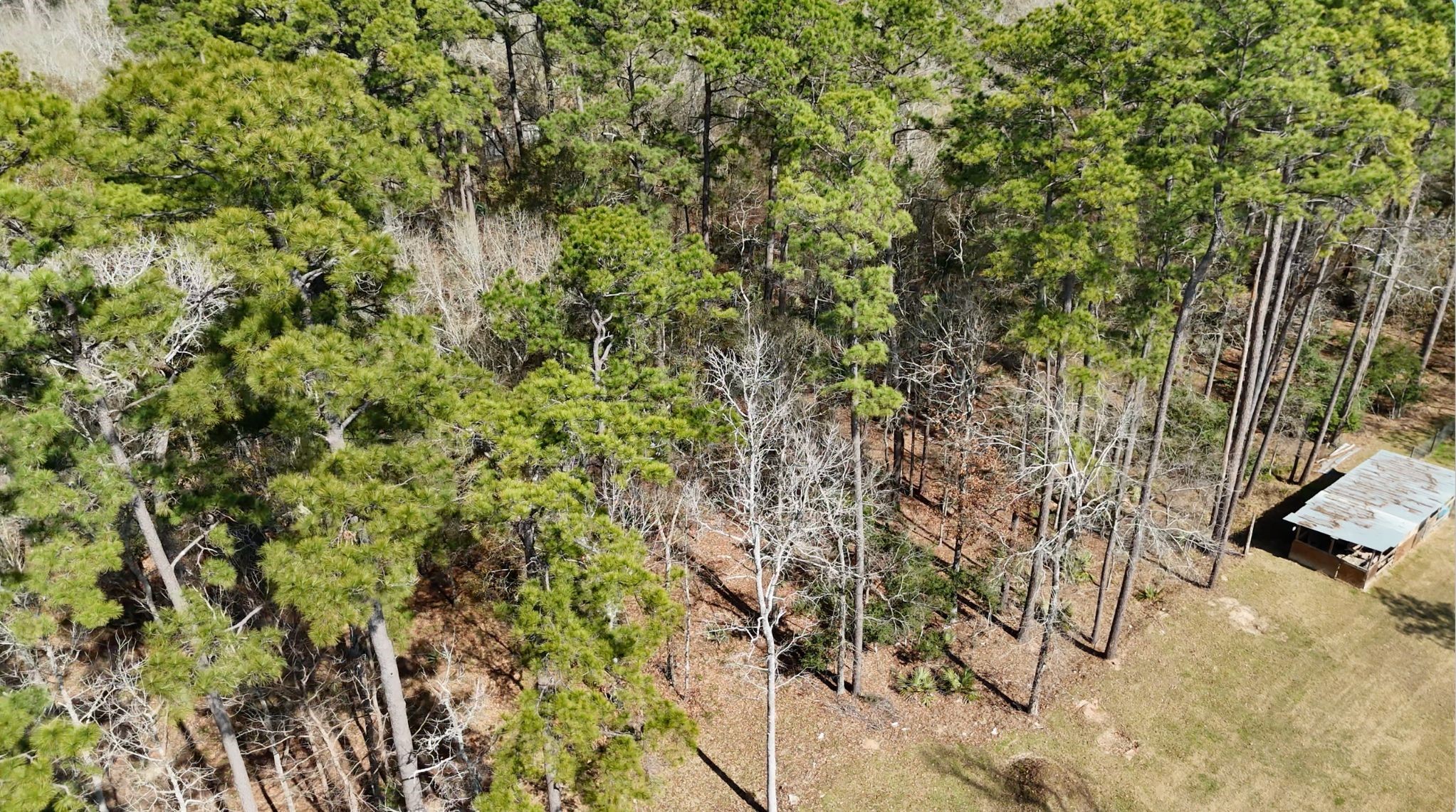 0 Cheatham Road Huffman, TX 77336 - Photo 1 of 11 A bird's eye view of two adjacent lots, Lots 103 and 104, totaling approximately 2.00 acres per HCAD Account #0503480000103. Please refer to parcel map or survey to verify property boundaries.