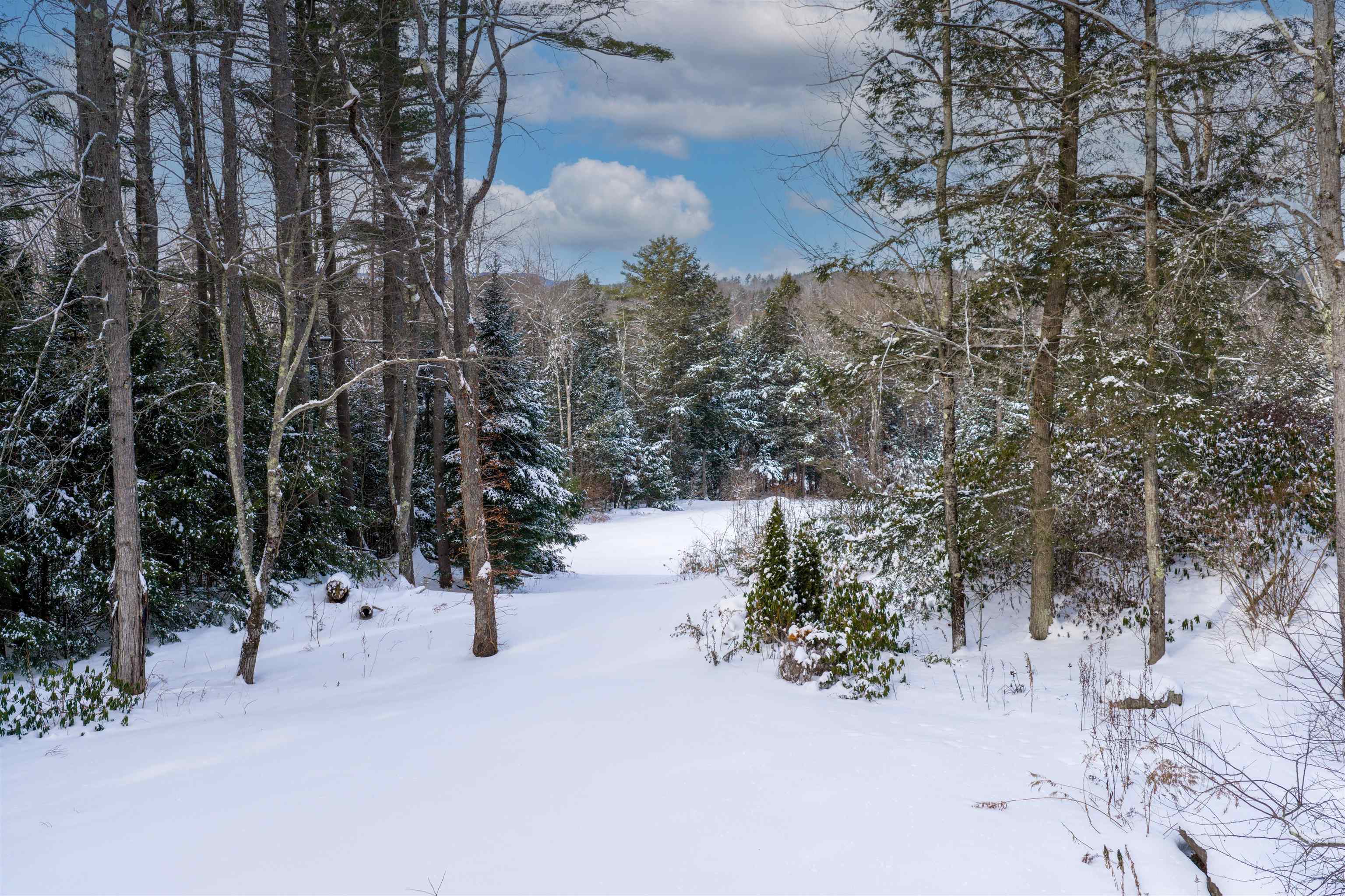 224 Cobble Ridge Road Londonderry, VT 05148 - Photo 4 of 45