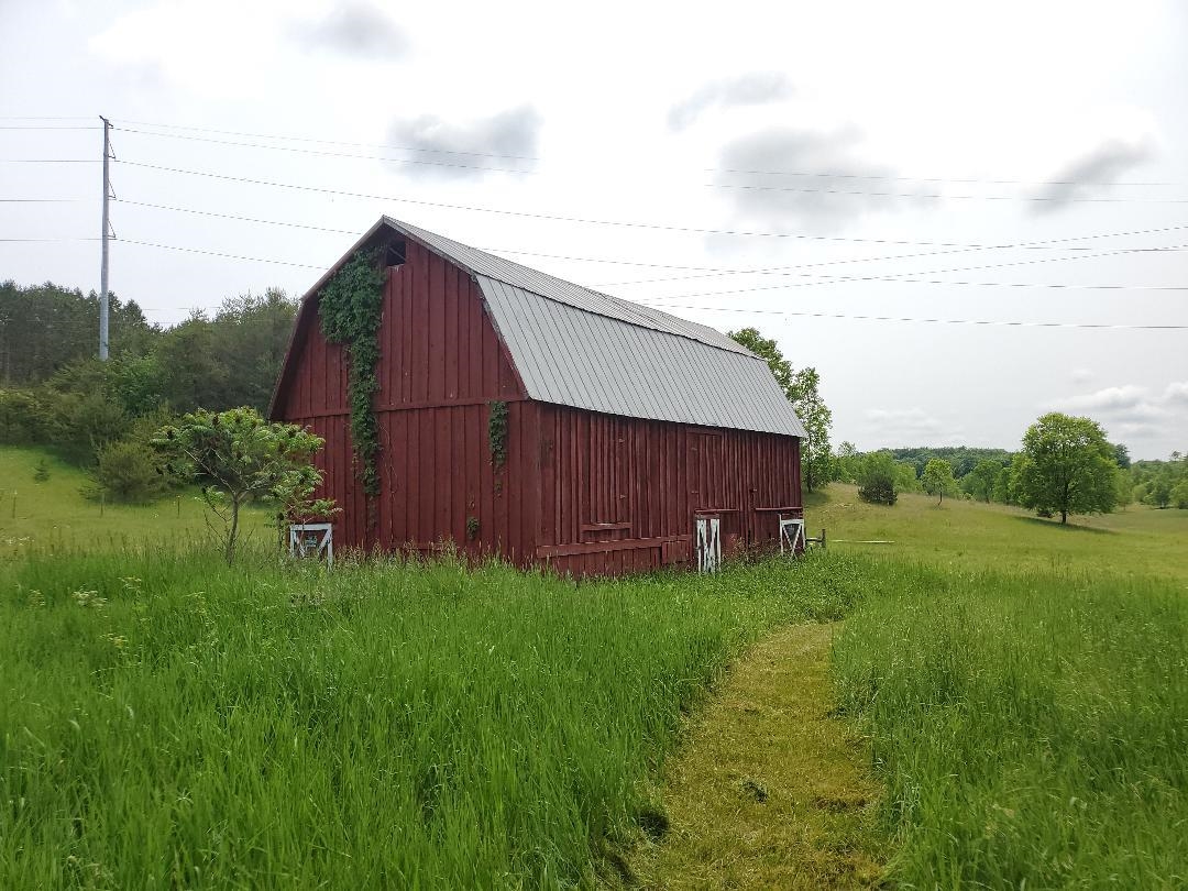 11377 West 16 Road Mesick, MI 49668 - Photo 3 of 13