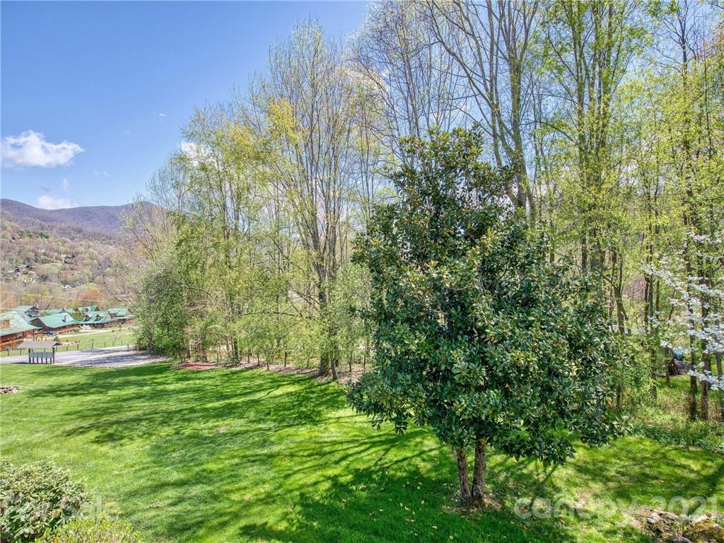 444 Stoney Ridge Loop Maggie Valley, NC 28751 - Photo 24 of 25 a view of yard with green space and trees