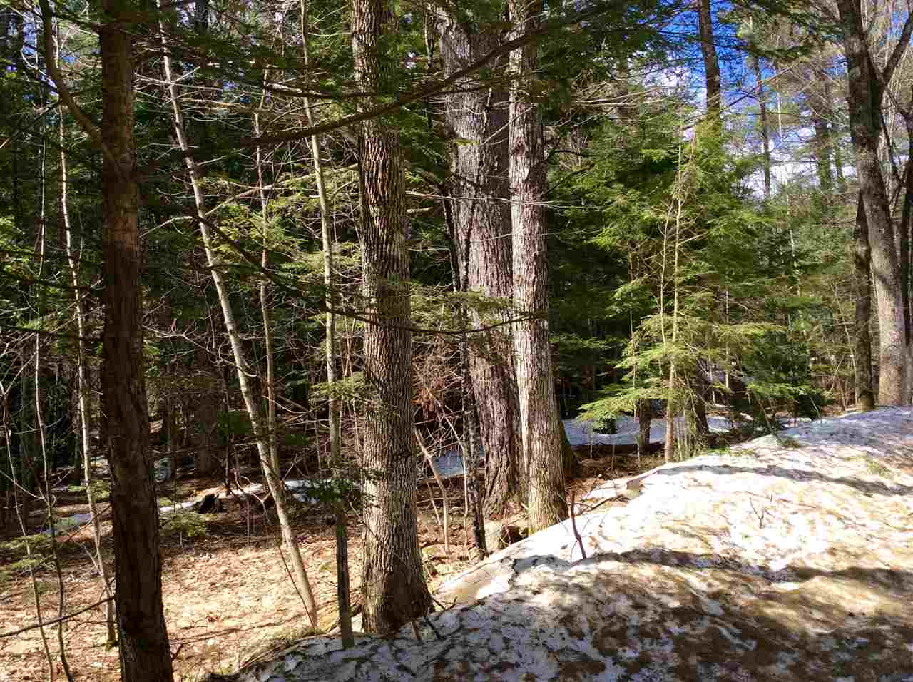 Ridge Ridge Th Road, Unit 26 Madison, NH 03849 - Photo 2 of 8