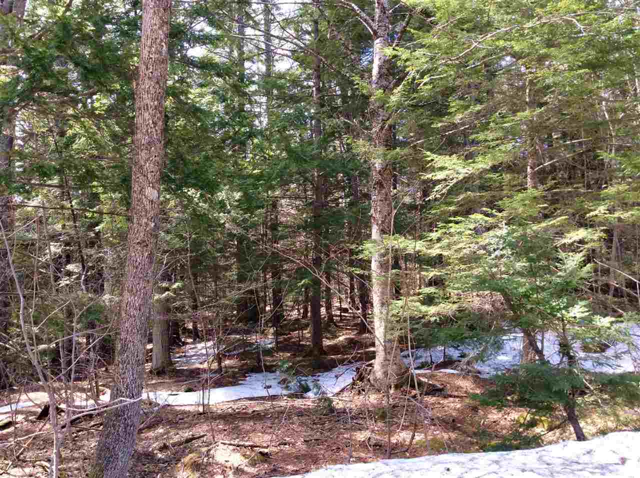 Ridge Ridge Th Road, Unit 26 Madison, NH 03849 - Photo 5 of 8