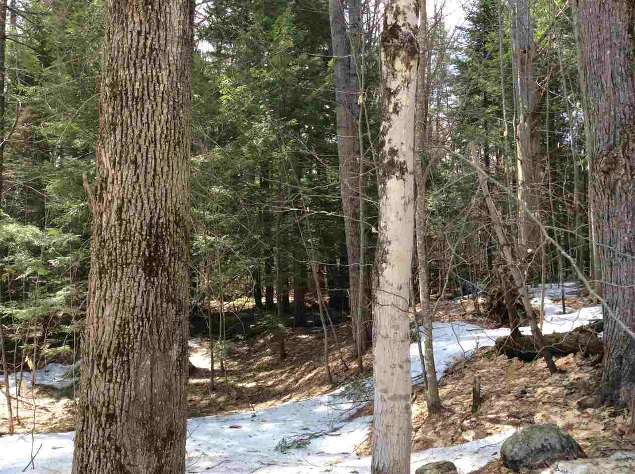 Ridge Ridge Th Road, Unit 26 Madison, NH 03849 - Photo 6 of 8