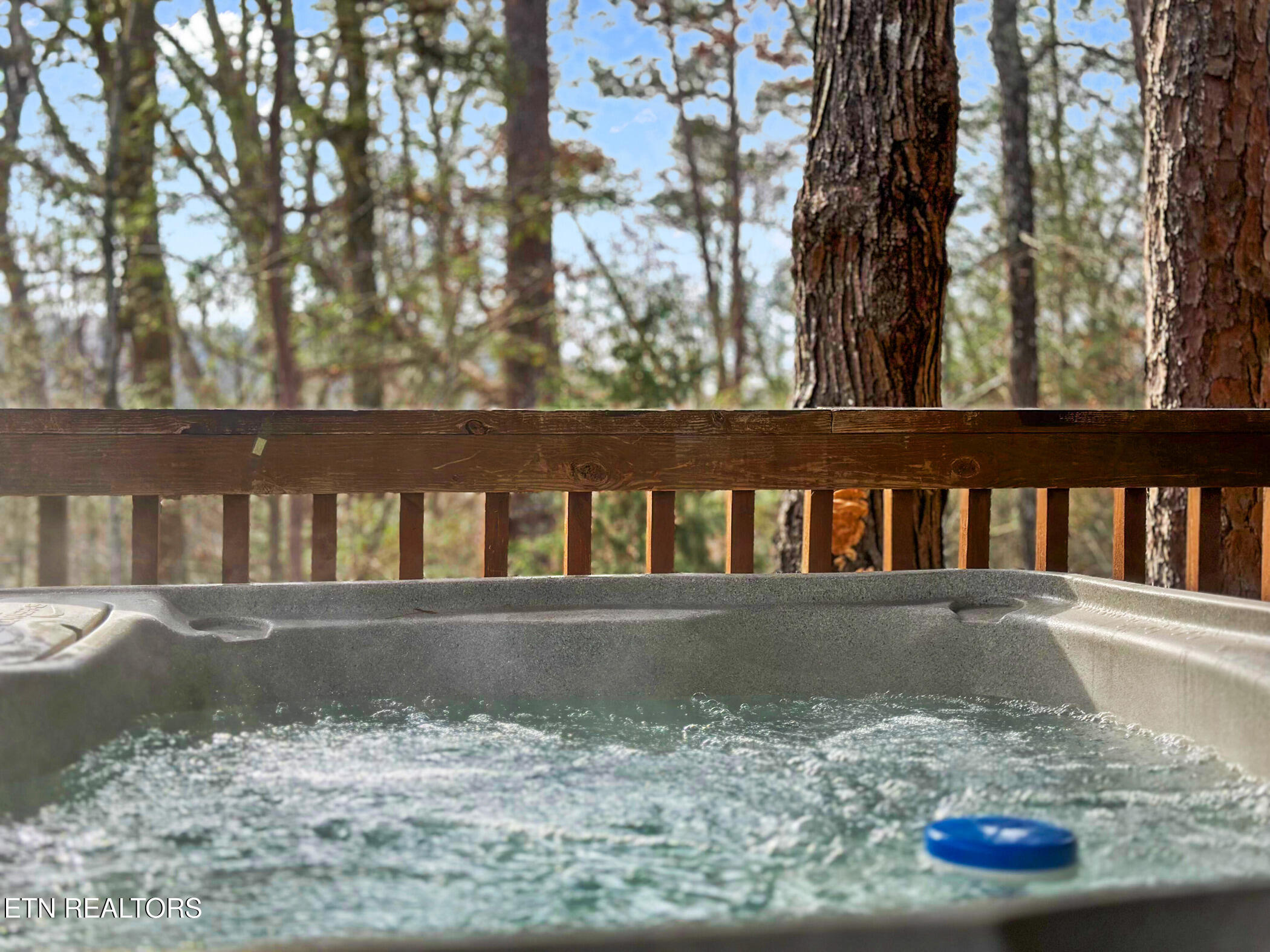 1518 Ridgecrest Drive Sevierville, TN 37876 - Photo 31 of 41 img_1649