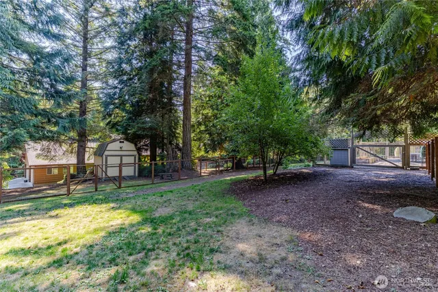 a view of a backyard with tree s