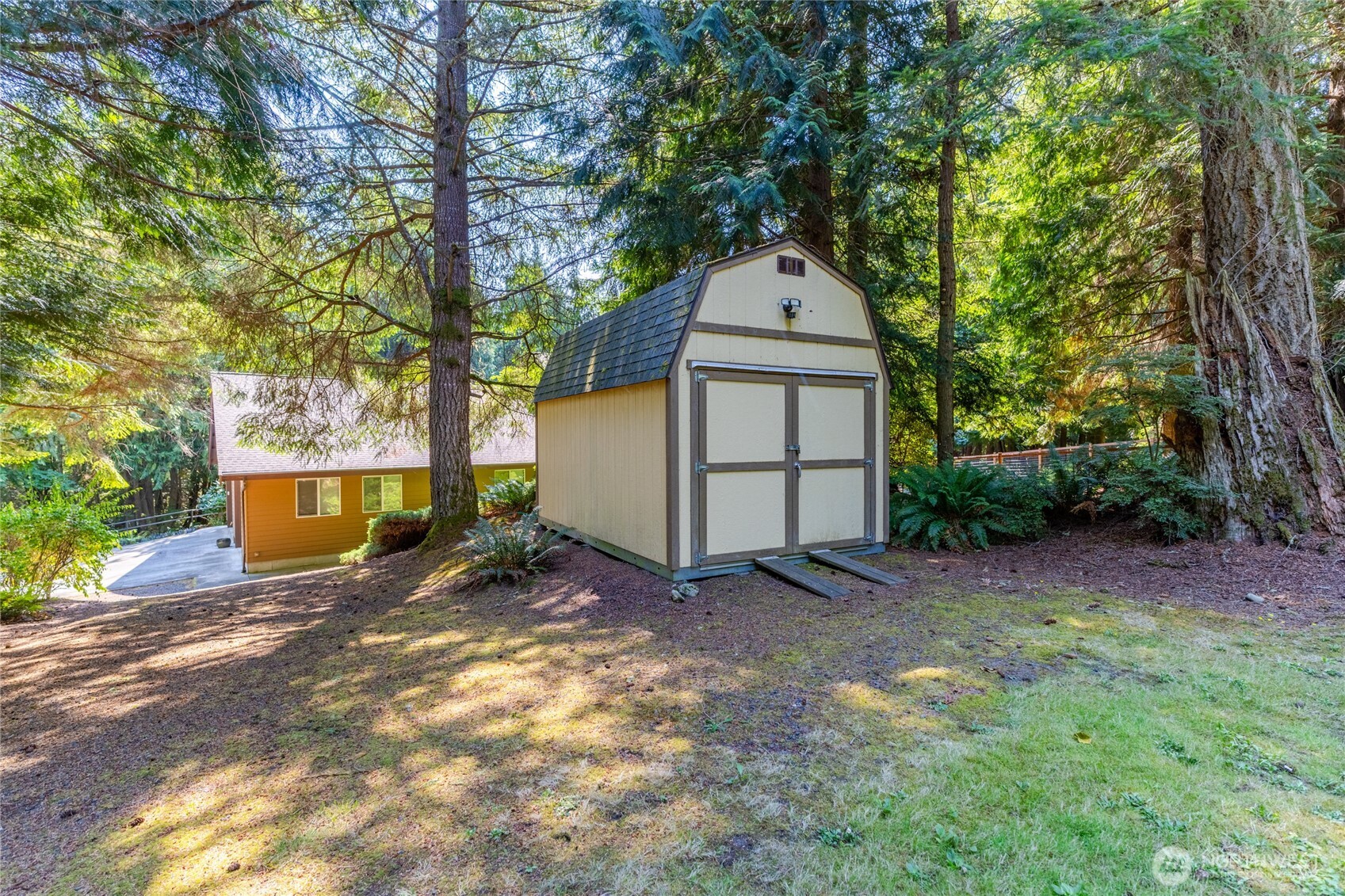 20 Bluebird Lane Port Ludlow, WA 98365 - Photo 5 of 40 a view of backyard with a barn and a large tree