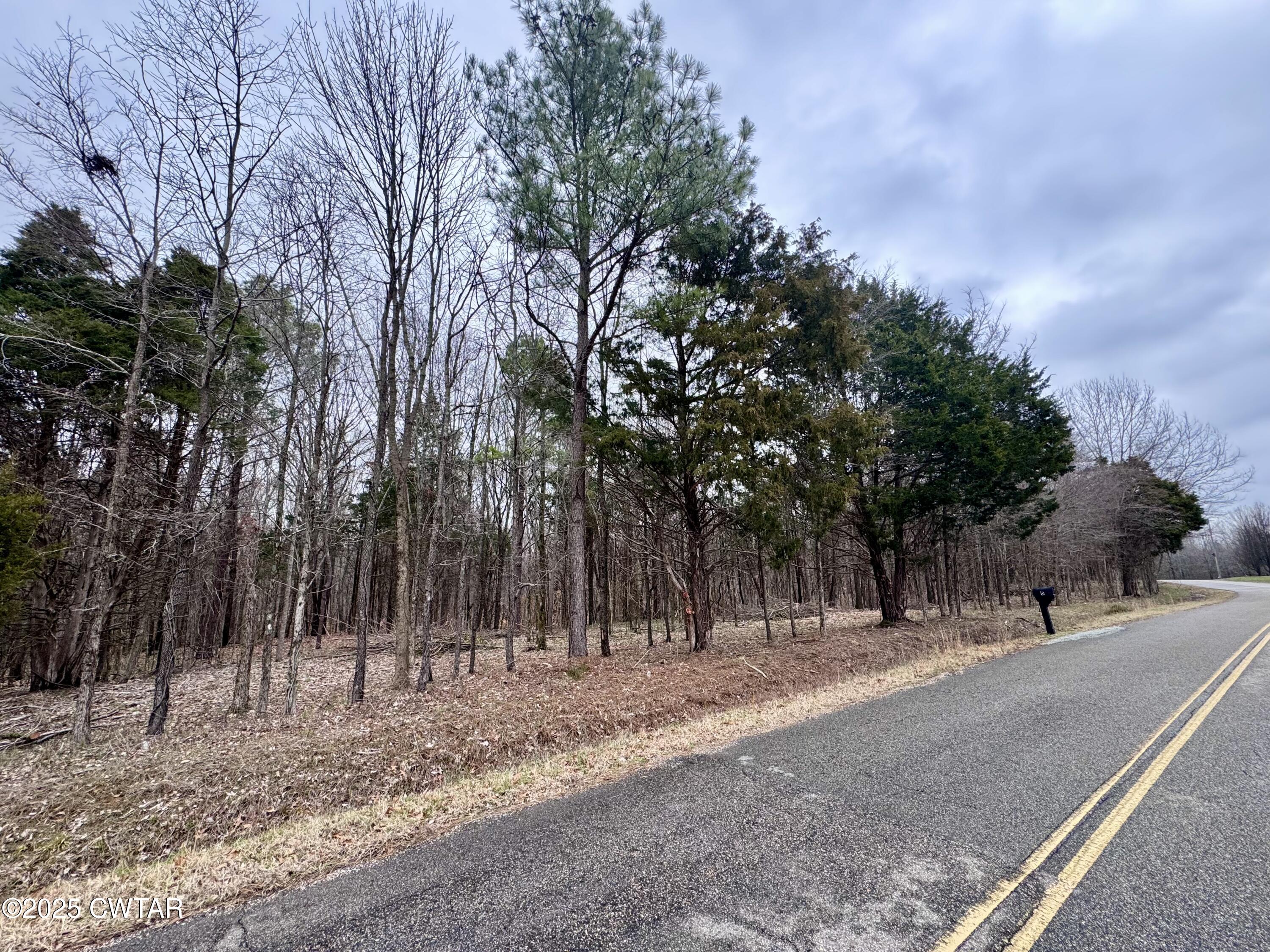 42 Lake Hayes Estates Road Trenton, TN 38382 - Photo 24 of 29 a view of road with trees
