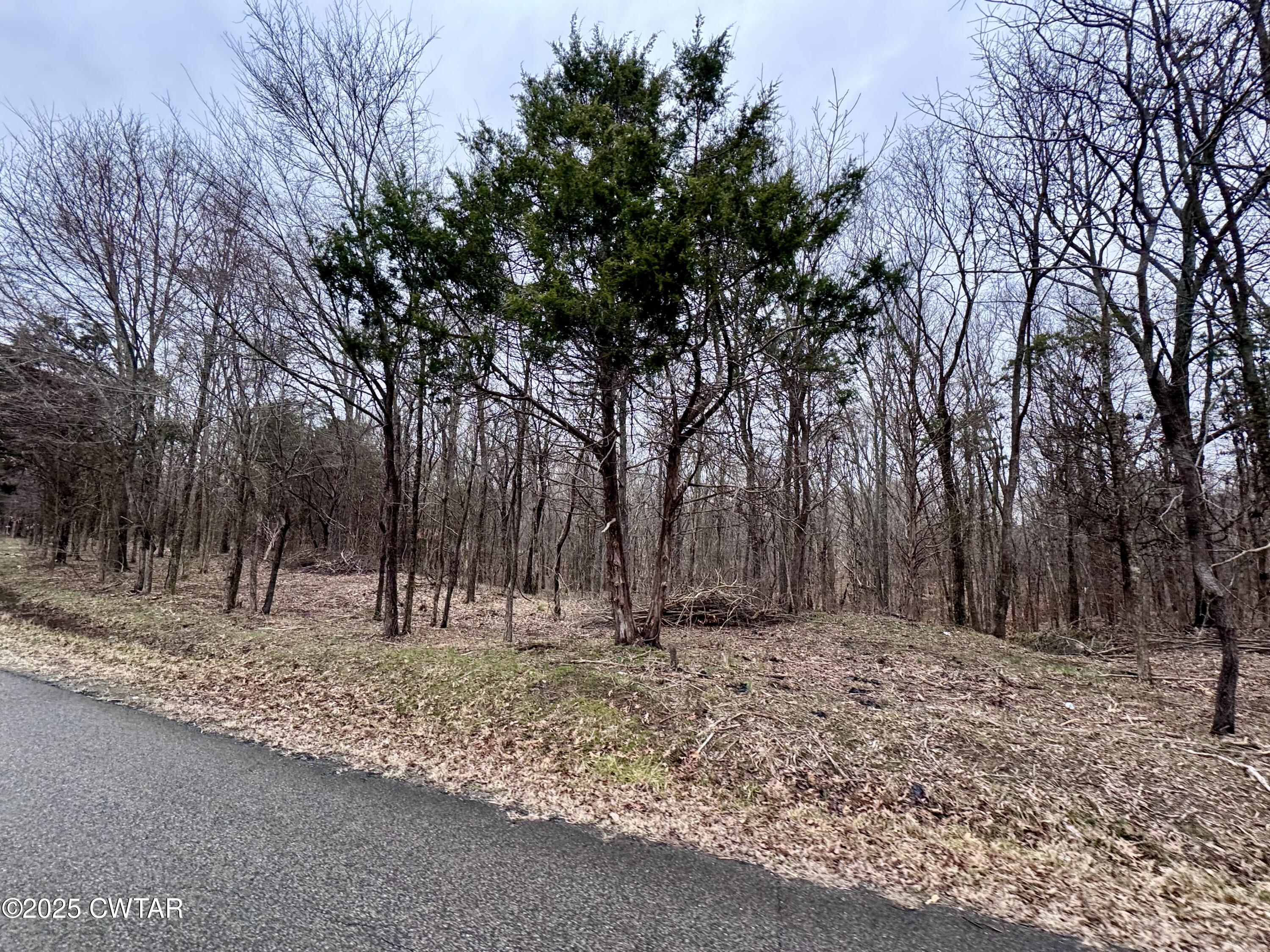 42 Lake Hayes Estates Road Trenton, TN 38382 - Photo 27 of 29 a view of backyard with green space