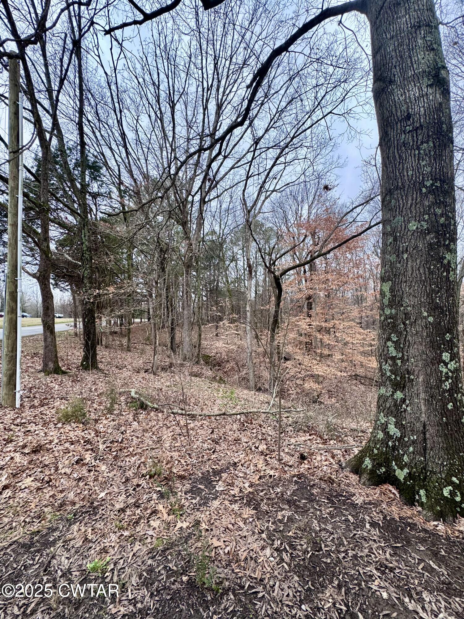 42 Lake Hayes Estates Road Trenton, TN 38382 - Photo 28 of 29 a backyard of a house with lots of green space
