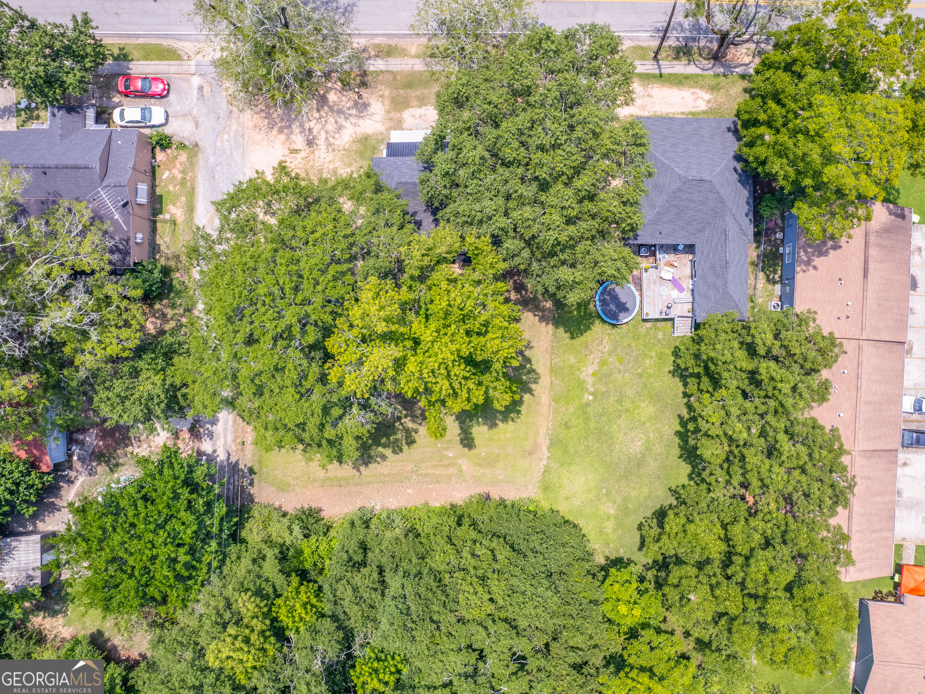 245 Atlanta Street Barnesville, GA 30204 - Photo 36 of 36 a plant that is in front of flowers