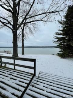 9910 Clewley Road Lachine, MI 49753 - Photo 12 of 12 output (20).jpg