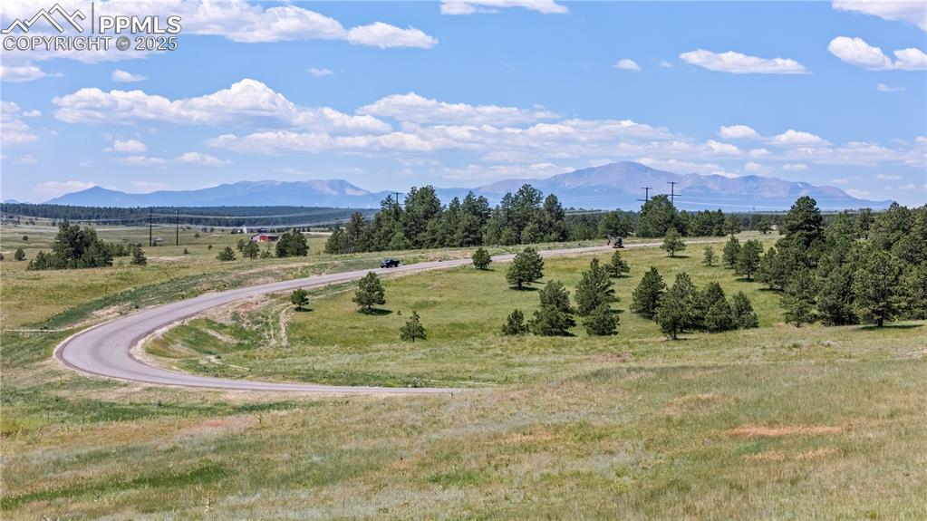 10854 Alamar Way Colorado Springs, CO 80908 - Photo 5 of 11 a view of a house with a yard and a large tree