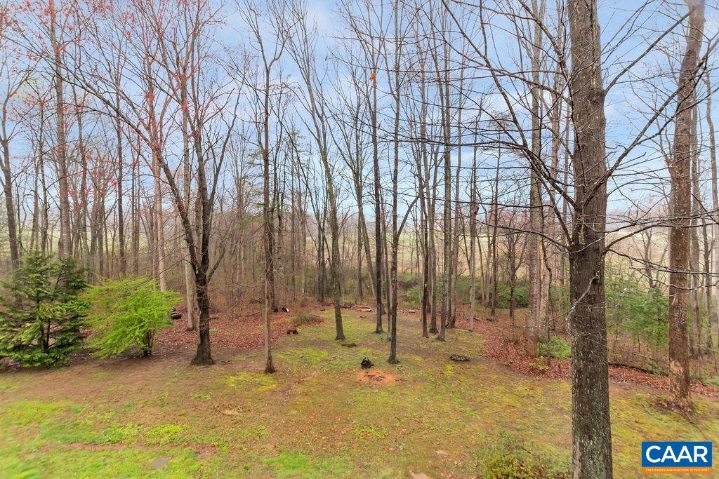 1011 Rippin Run Road Ruckersville, VA 22968 - Photo 36 of 38 a backyard of a house with trees