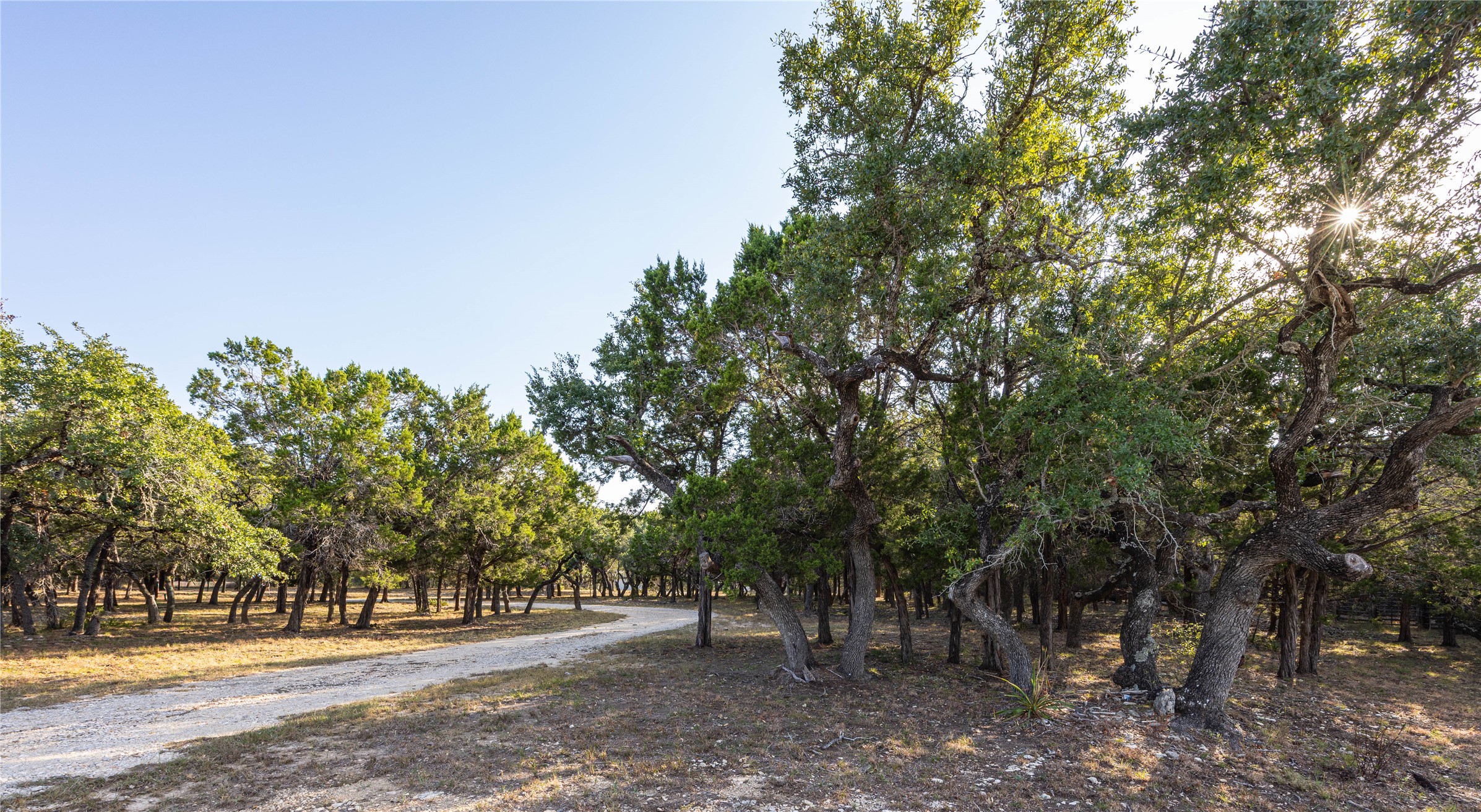 2501 Fischer Store Road Wimberley, TX 78676 - Photo 22 of 23 Driveway