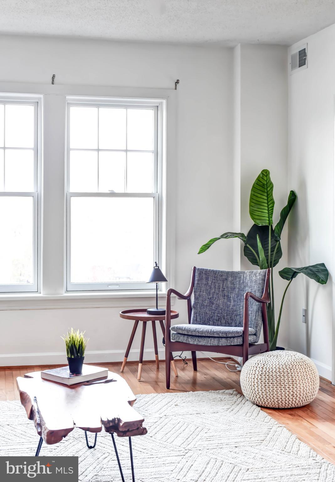 1724 17th Street Northwest, Unit 71 Washington, DC 20009 - Photo 8 of 23 a living room with furniture and a potted plant